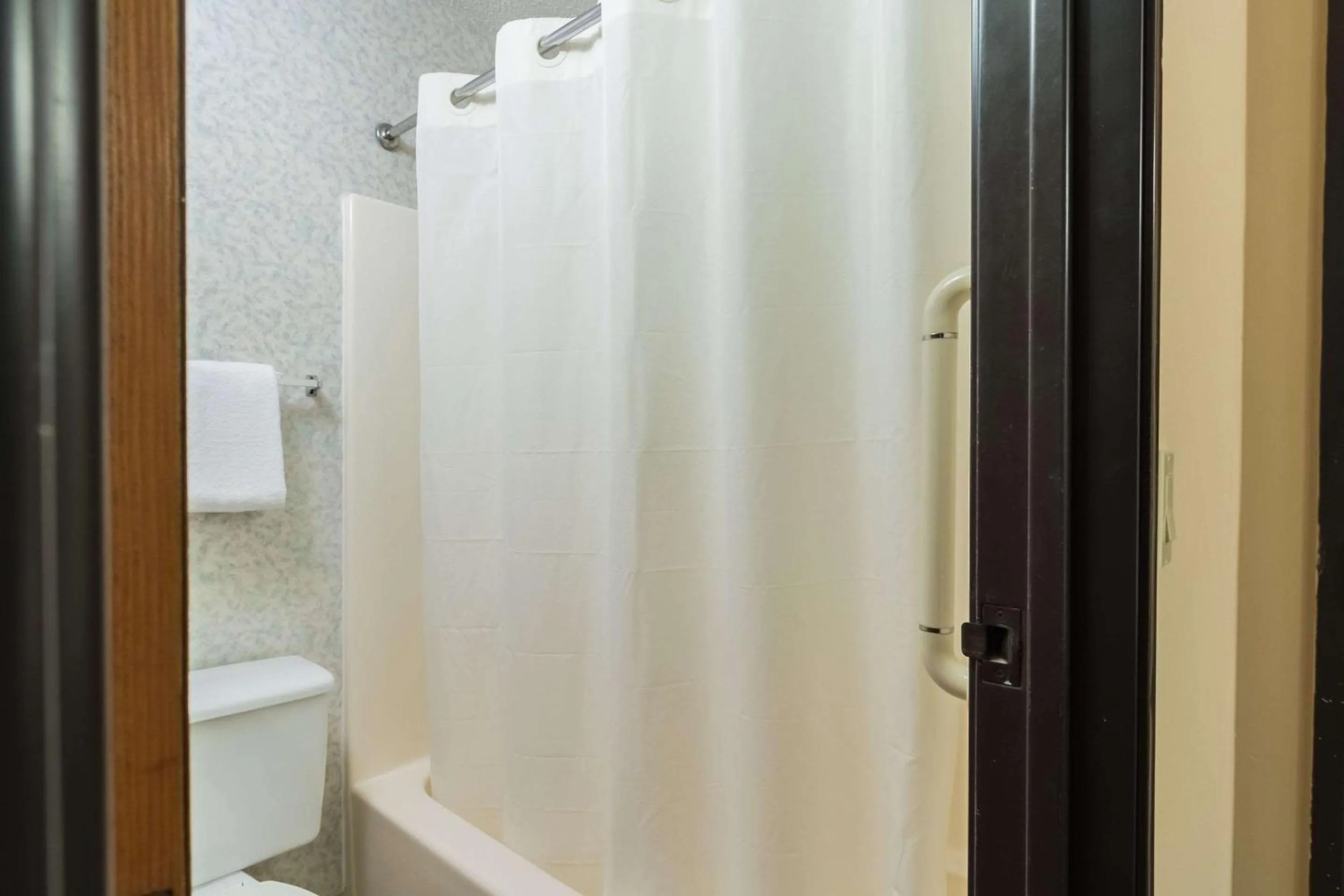 Bedroom in Rodeway Inn Red Wing