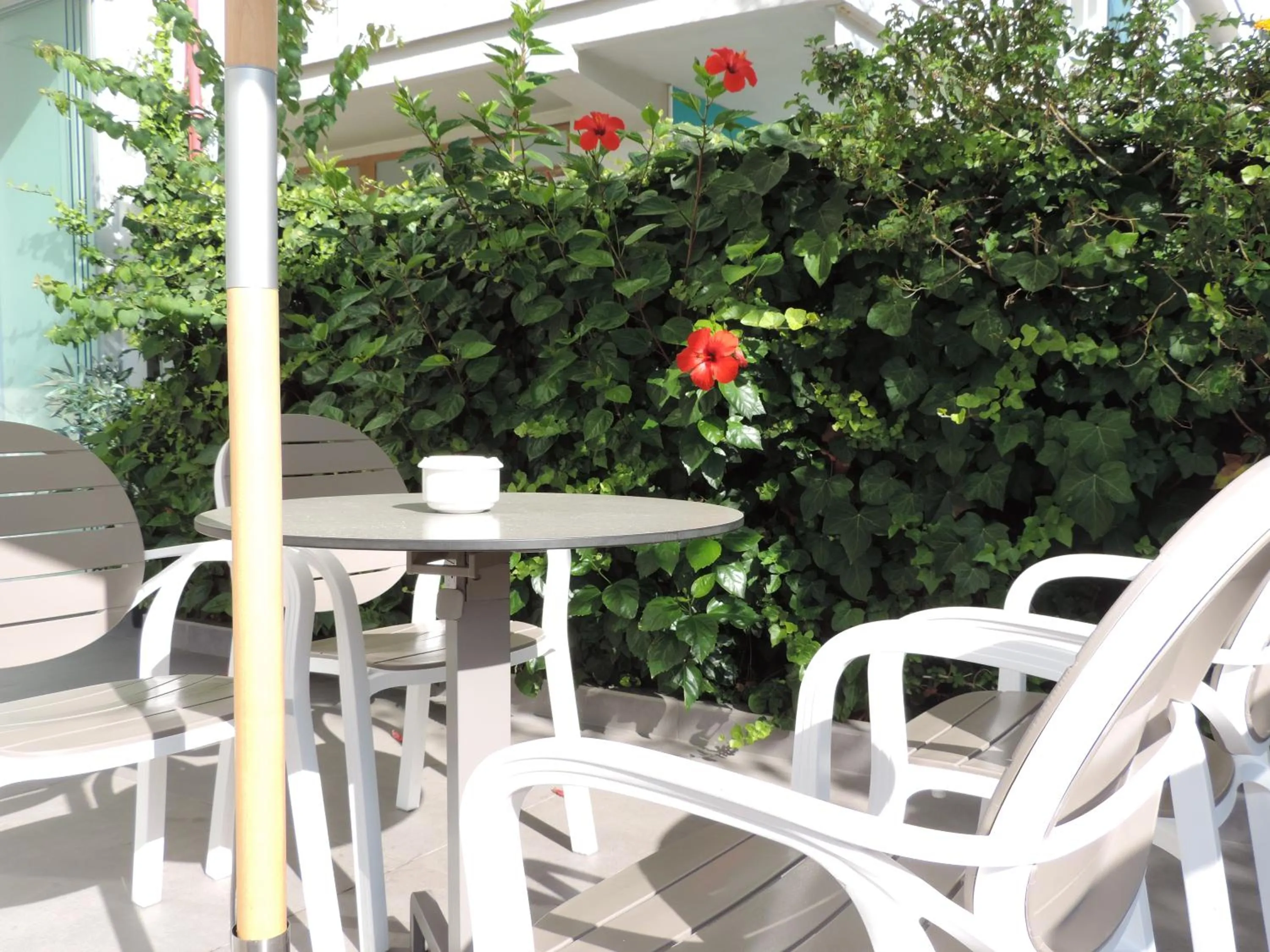 Spring in Hotel San Luis