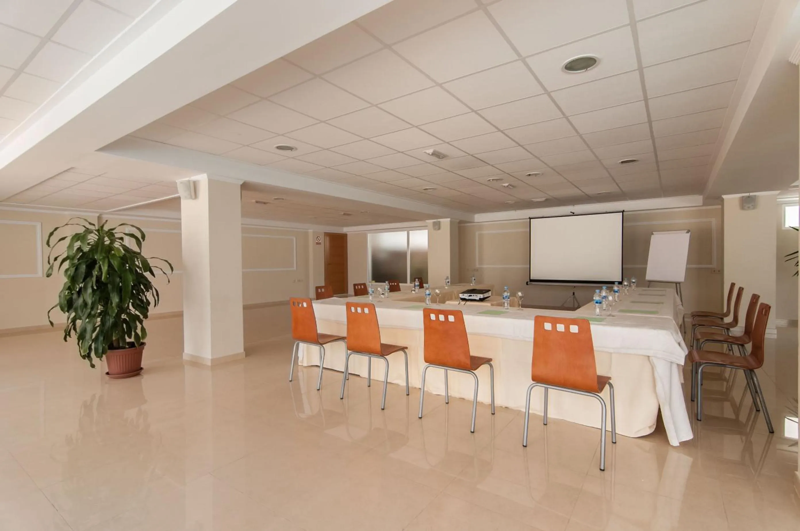 Business facilities in Hotel San Luis