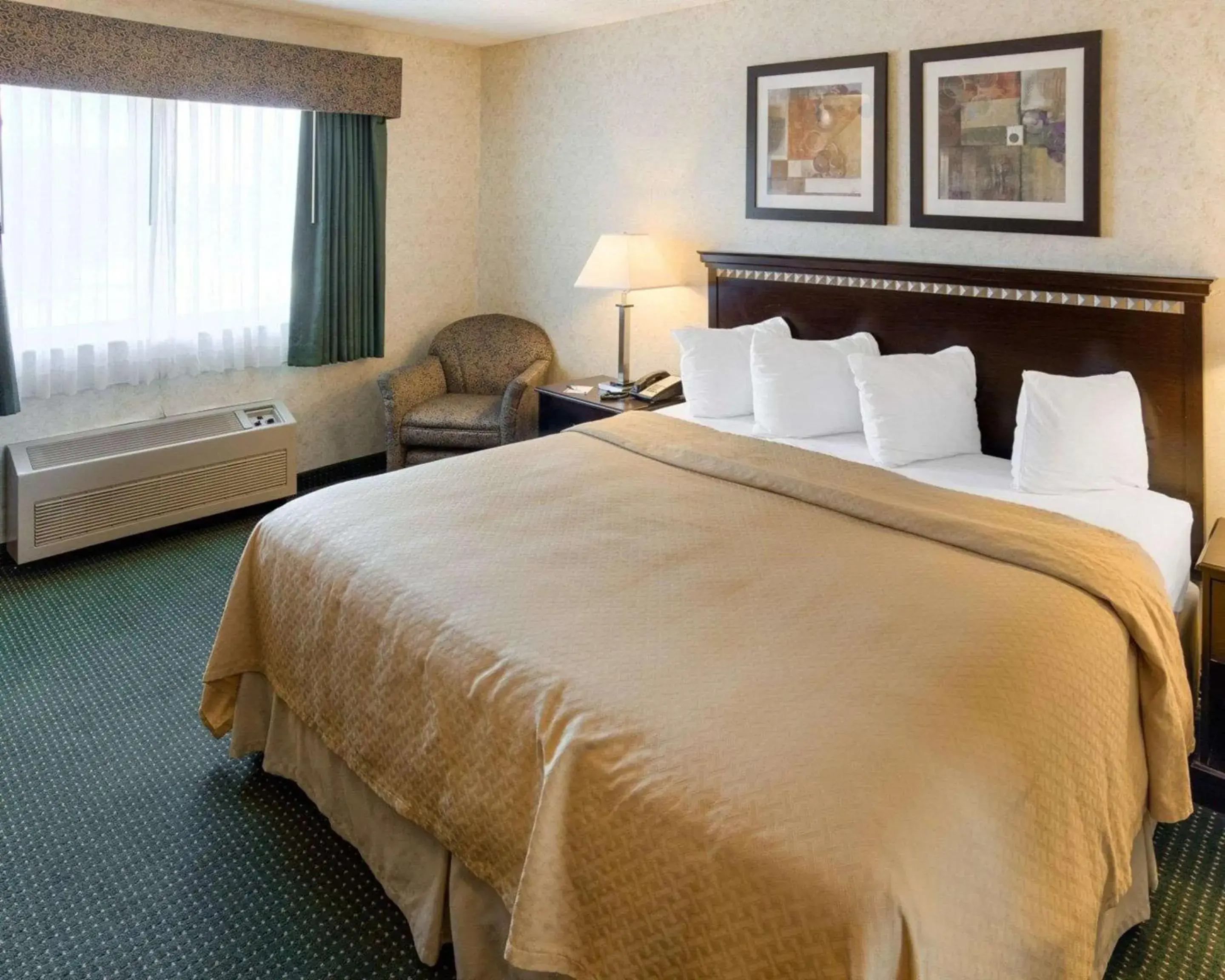 King Room - Accessible/Non-Smoking in Quality Inn near Northtown Mall & National Sports Center King Room - Accessible/Non-Smoking in Quality Inn near Northtown Mall & National Sports Center