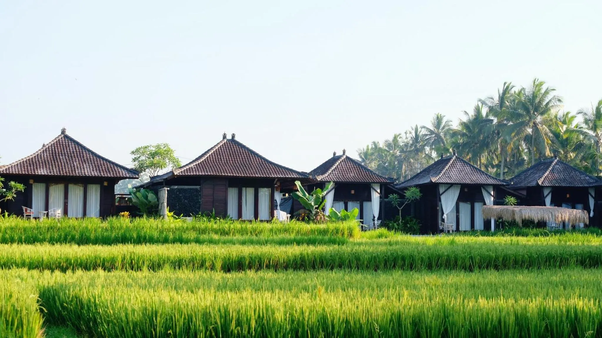 Natural landscape in Kayangan Villa Ubud