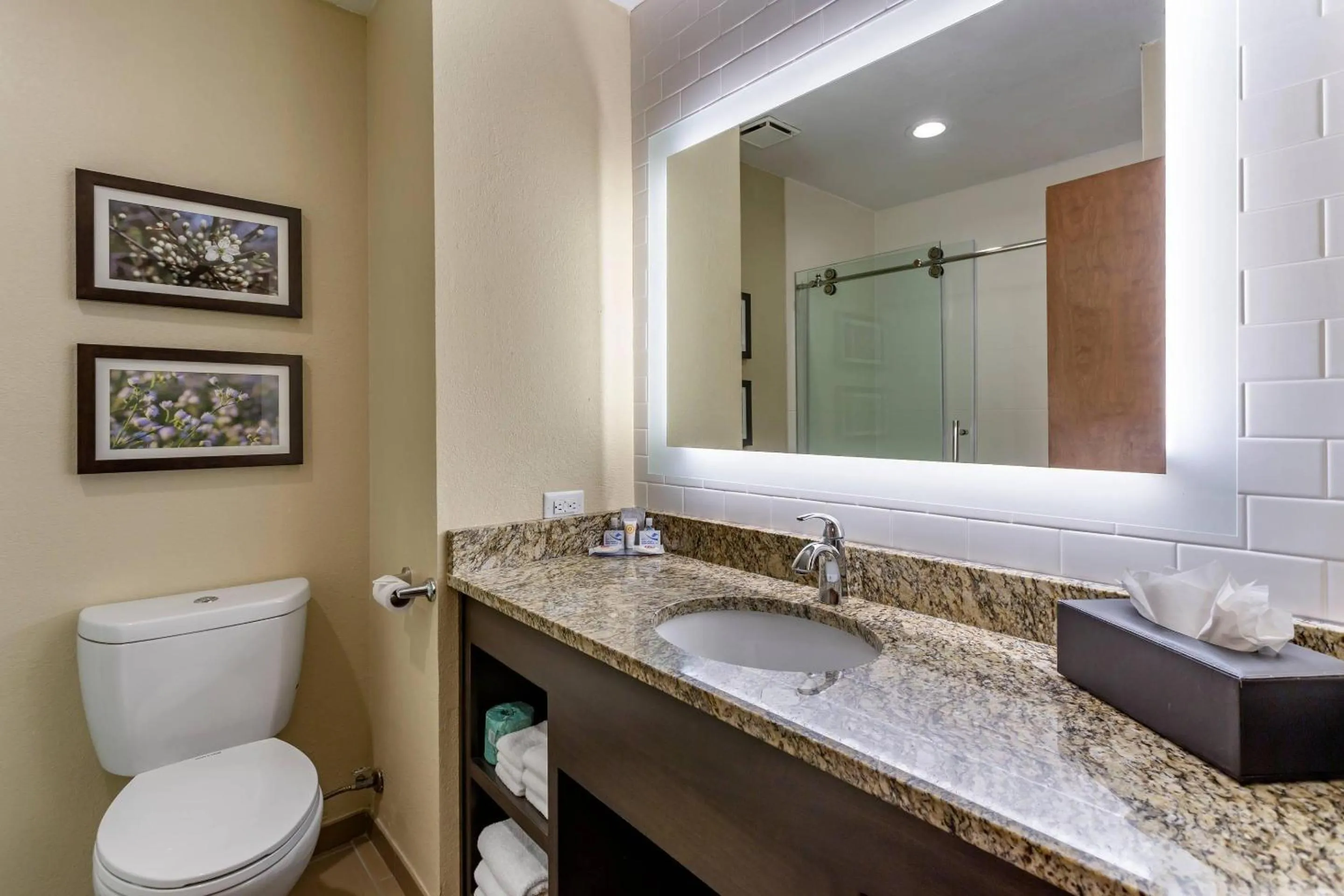 Bedroom in Comfort Inn St Robert-Fort Leonard Wood