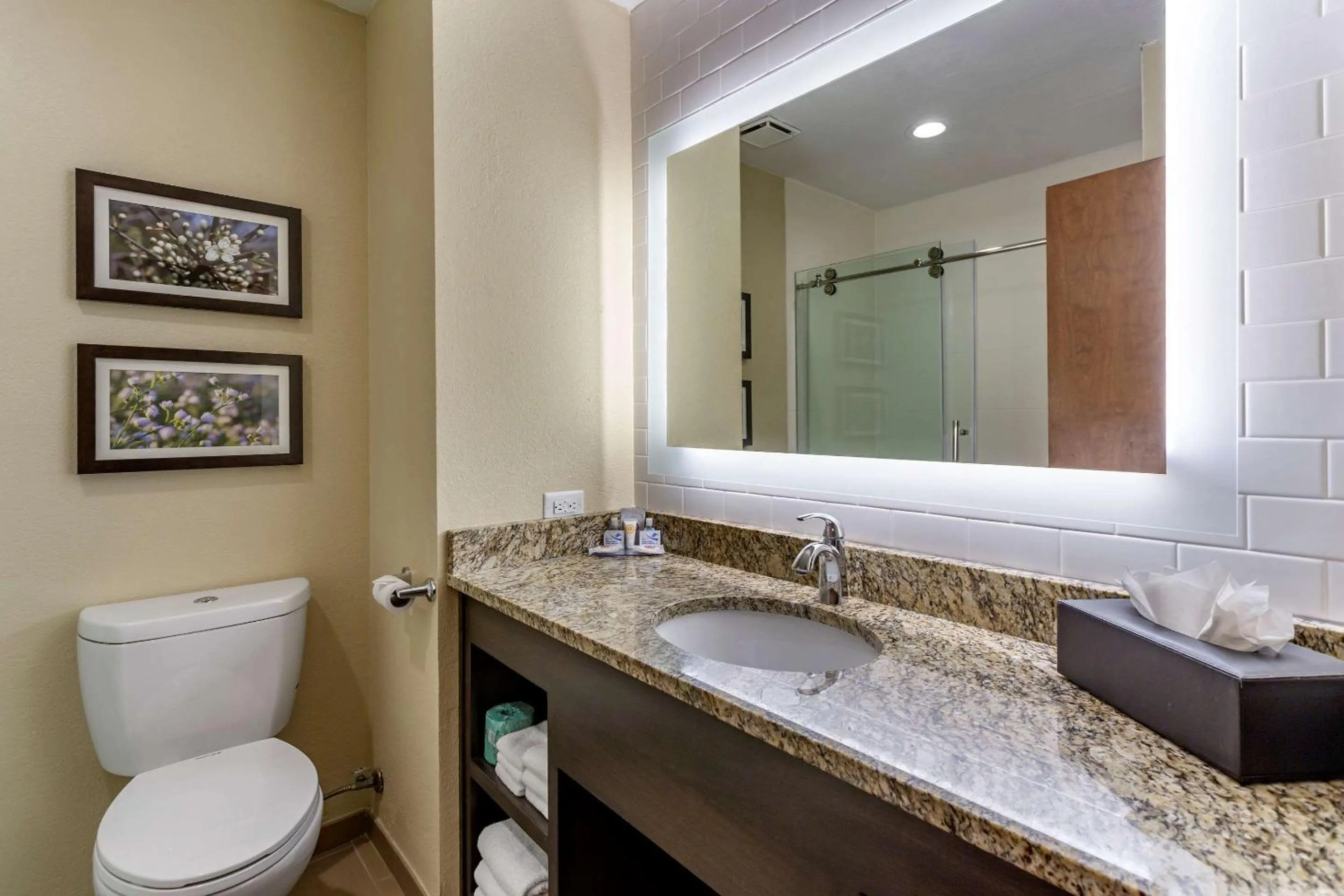 Bathroom in Comfort Inn St Robert-Fort Leonard Wood