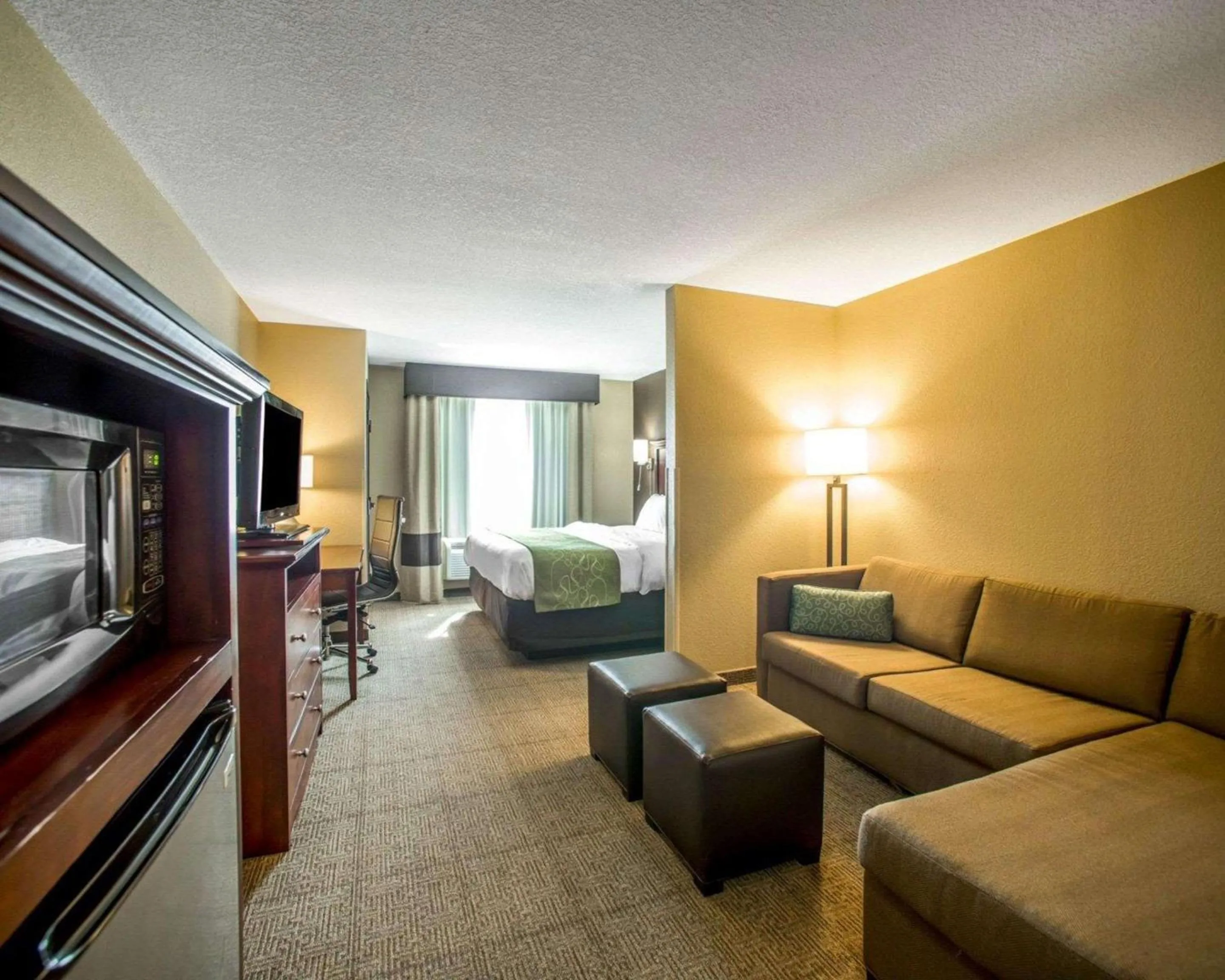 Photo of the whole room in Comfort Suites Columbia - University Area