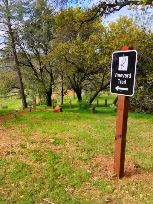 Papillon Cellars - The Loft