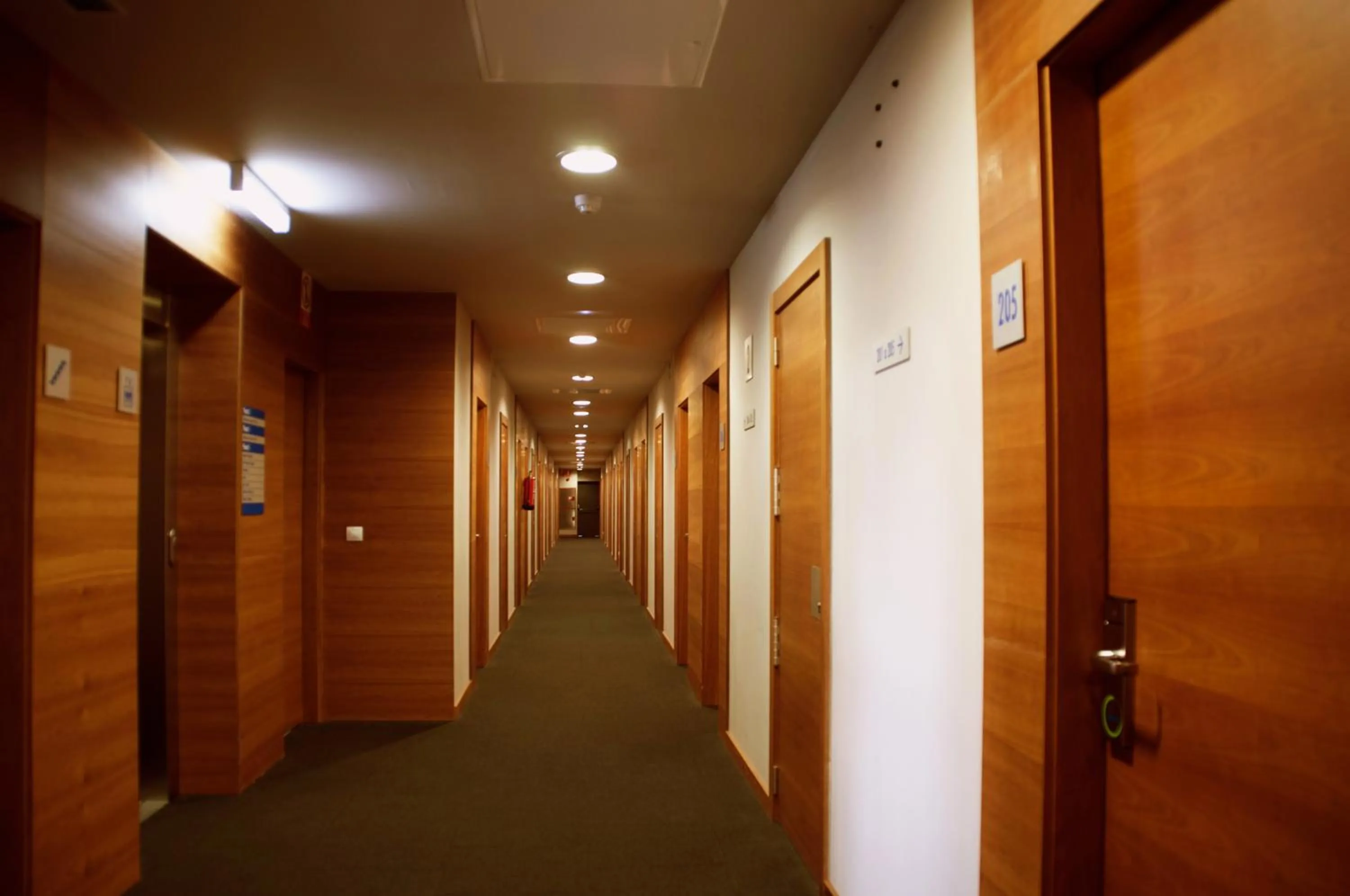 Area and facilities in Hotel AS Torrent