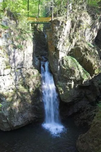 Natural landscape in Hotel i Restauracja ABIS