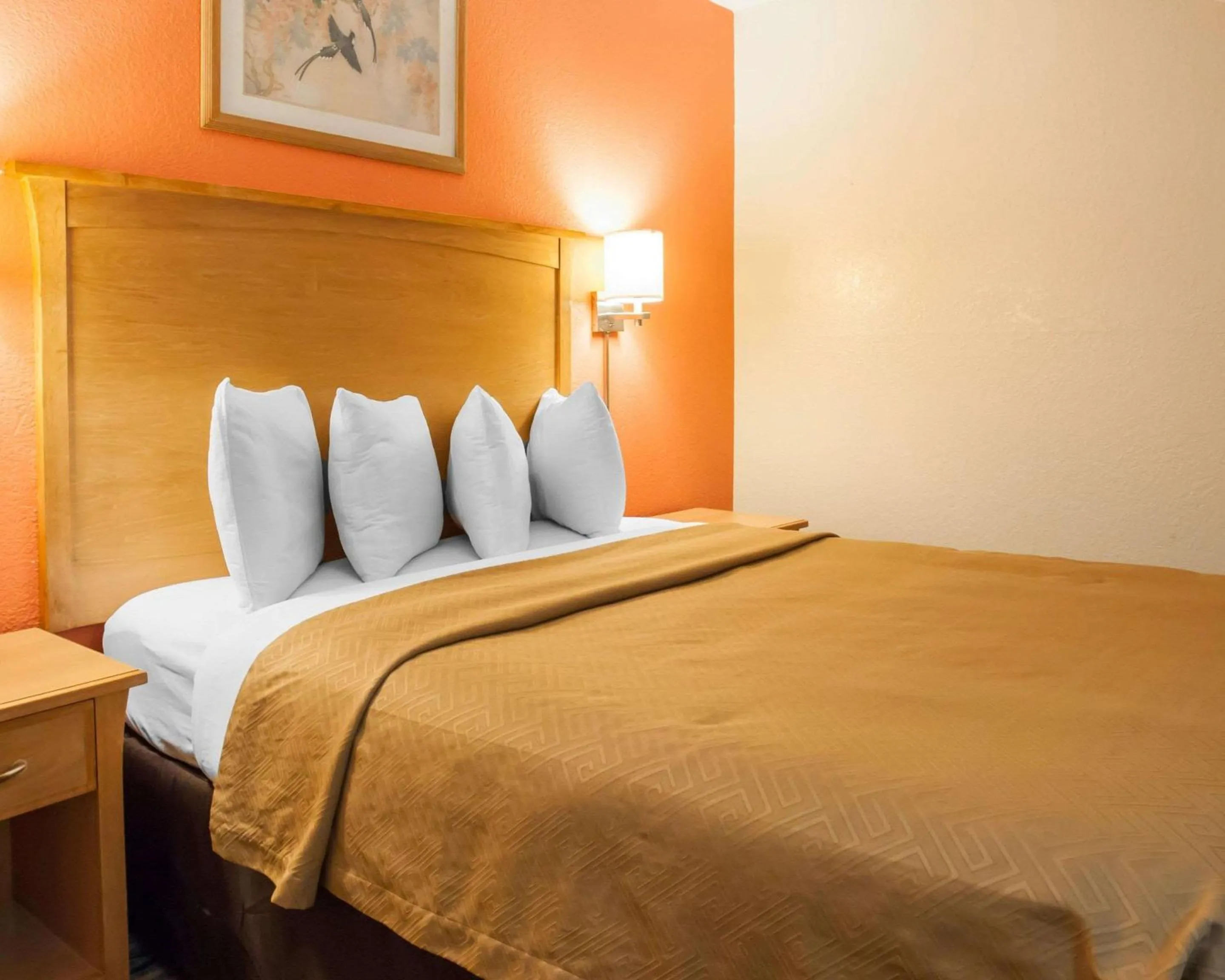 Photo of the whole room, Bed in Econo Lodge Kansas City Downtown North