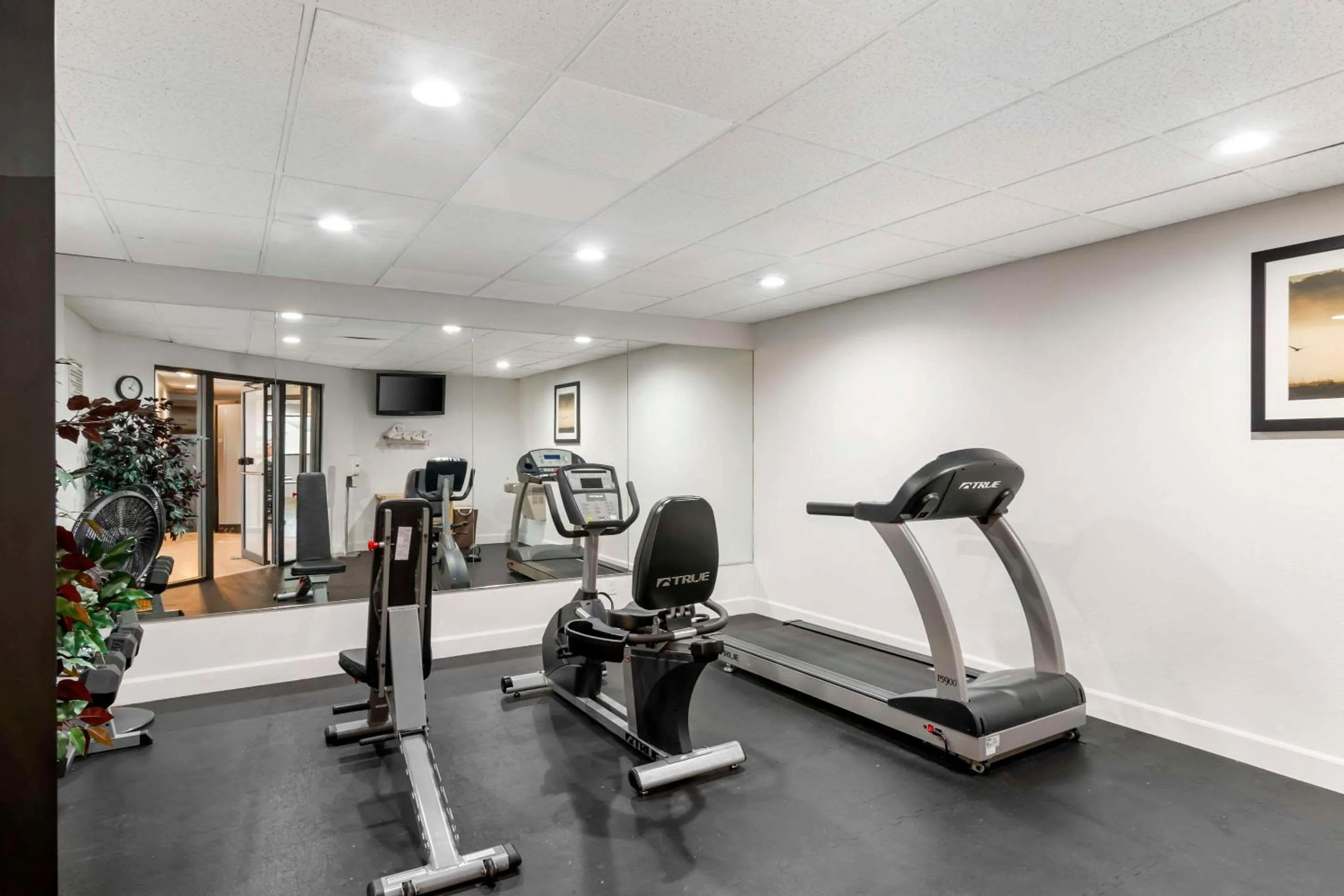 Fitness centre/facilities in Quality Inn