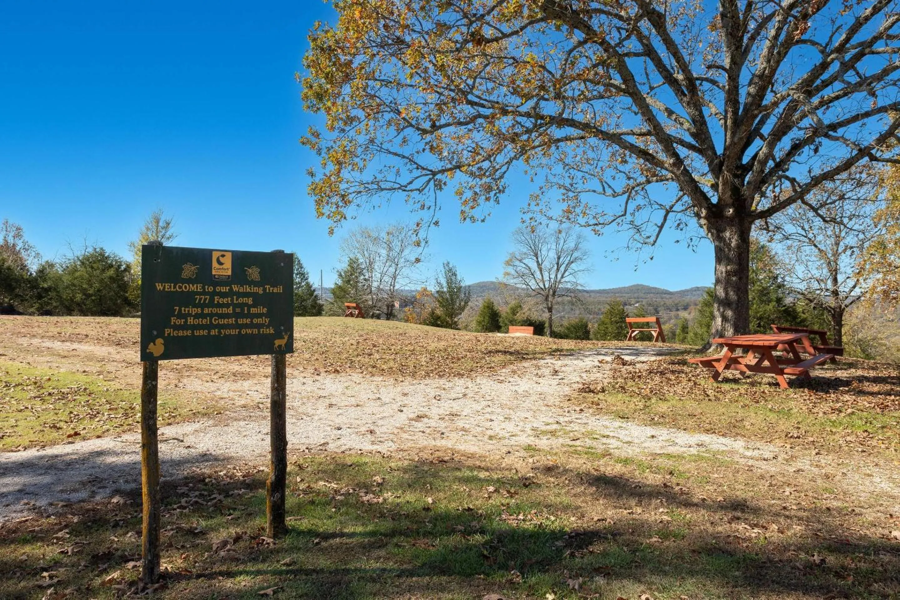 Other in Comfort Inn & Suites Branson Meadows