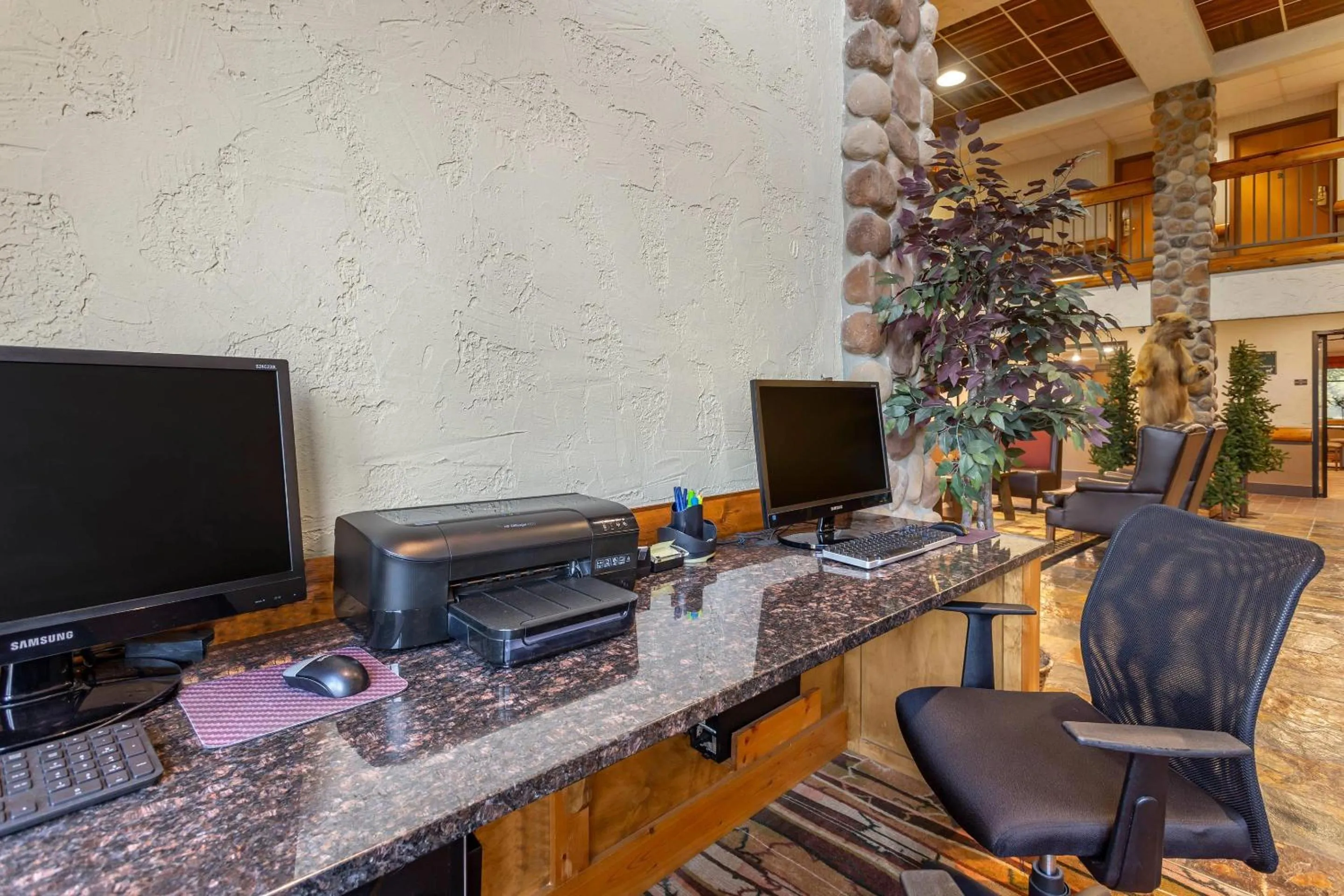 Business facilities in Comfort Inn & Suites Branson Meadows