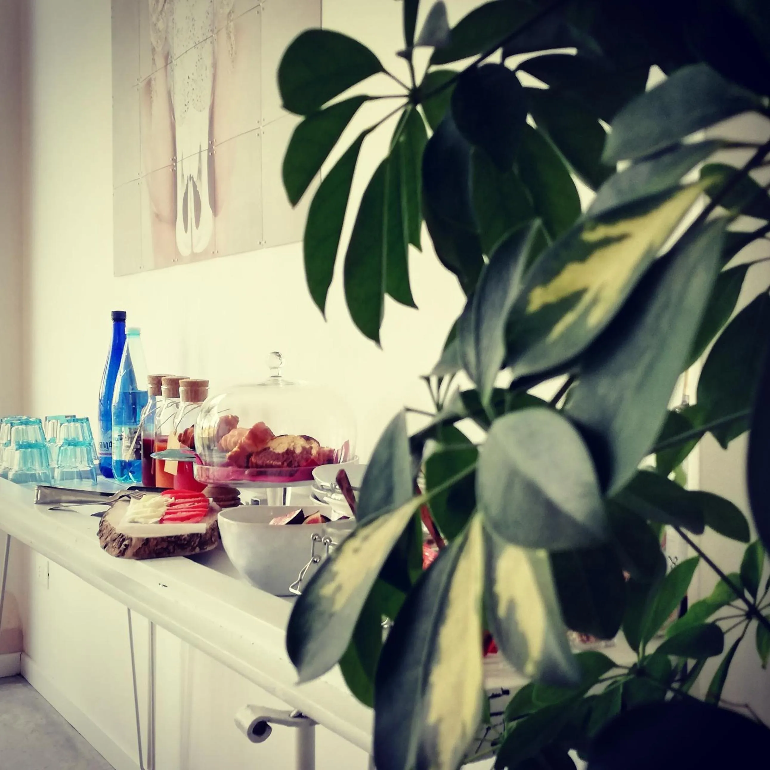 Food and drinks in Bed & Breakfast IL PAJO