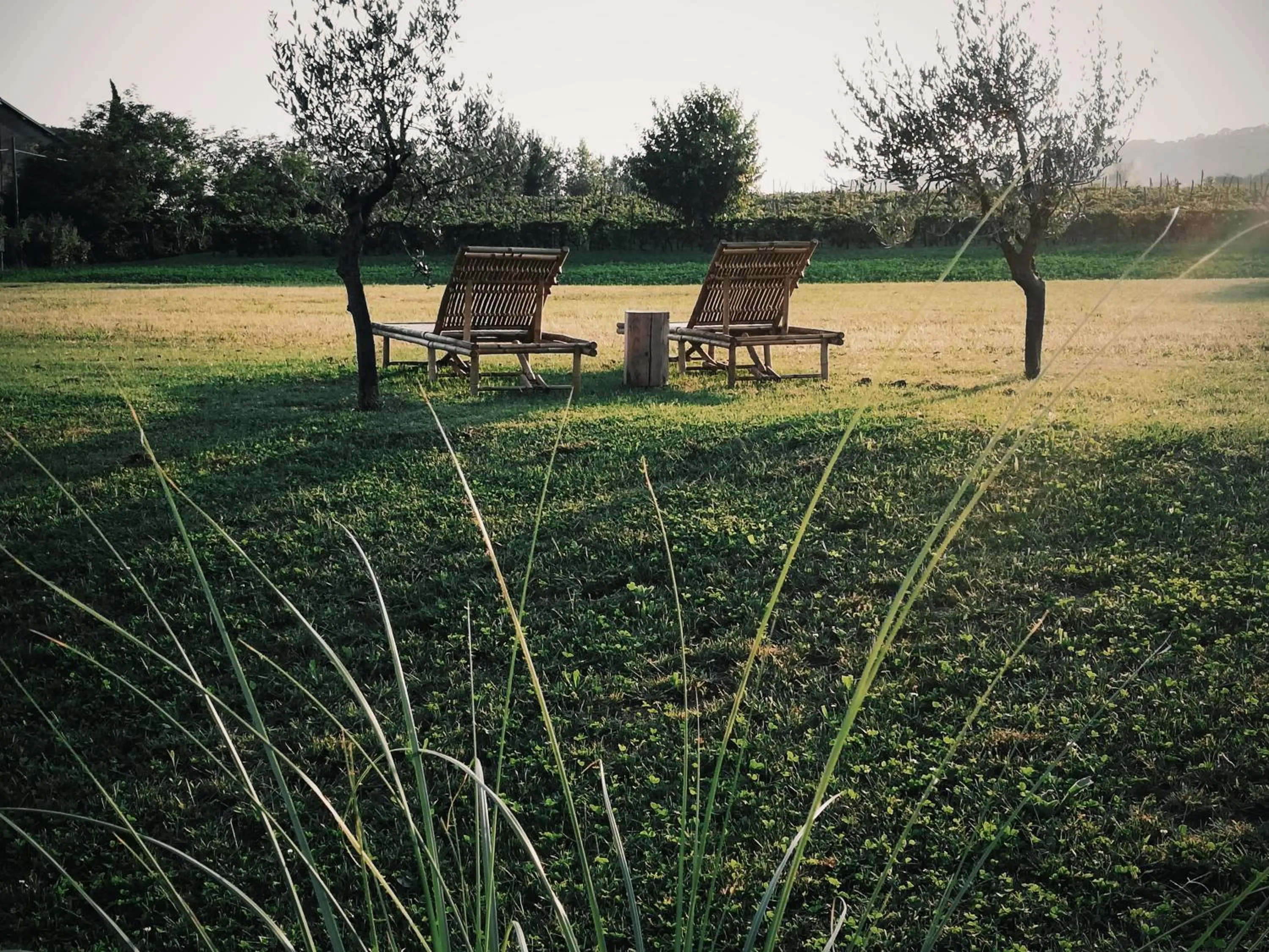 Garden in Bed & Breakfast IL PAJO