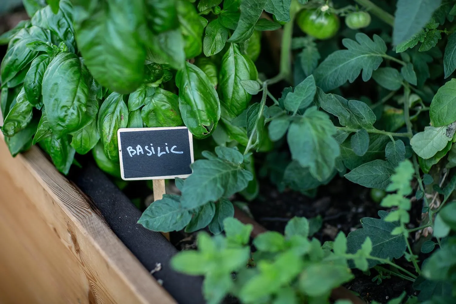 Property building in Eklo Hotels Bordeaux Centre Bastide