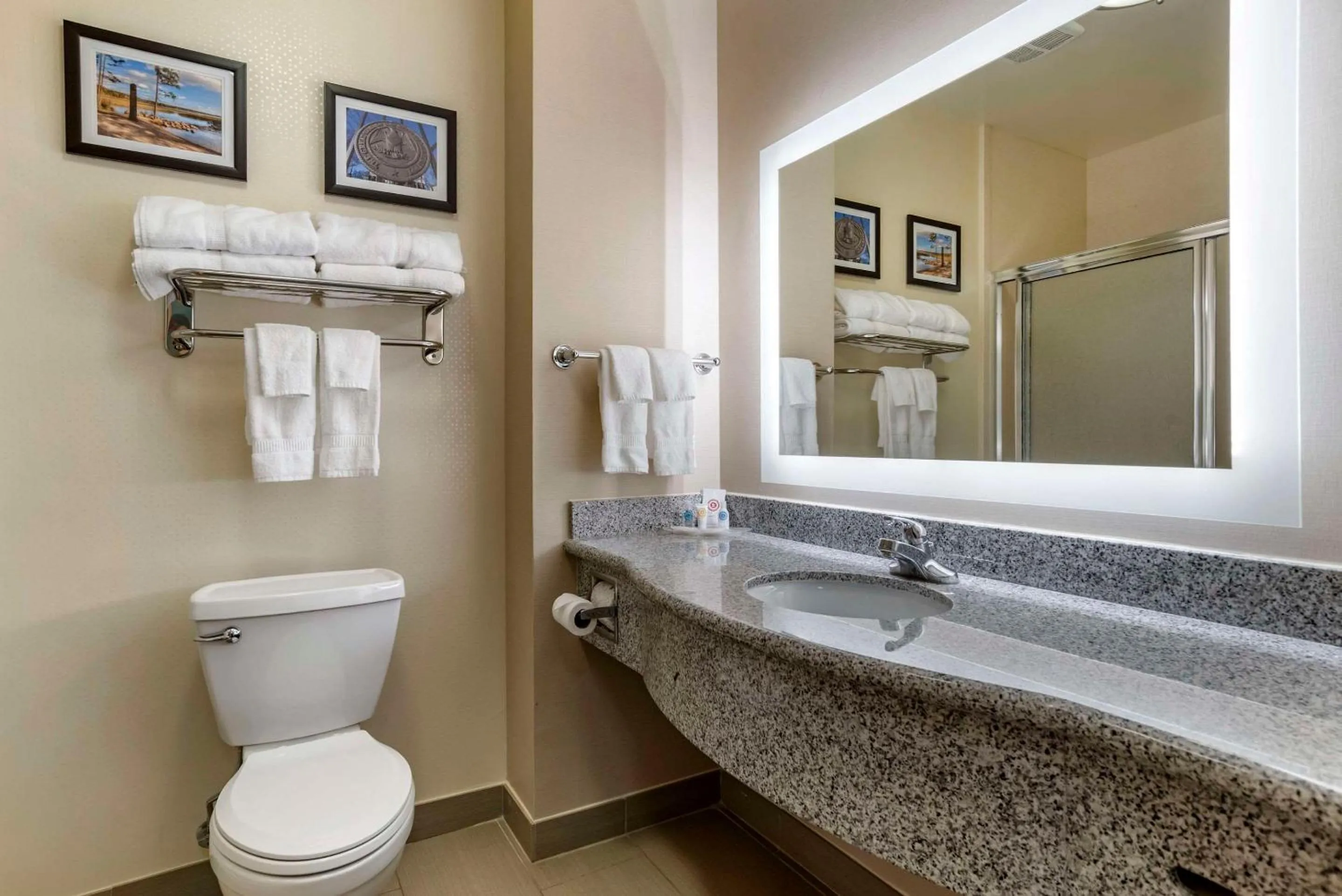 Bedroom in Comfort Suites Flowood - Jackson Airport
