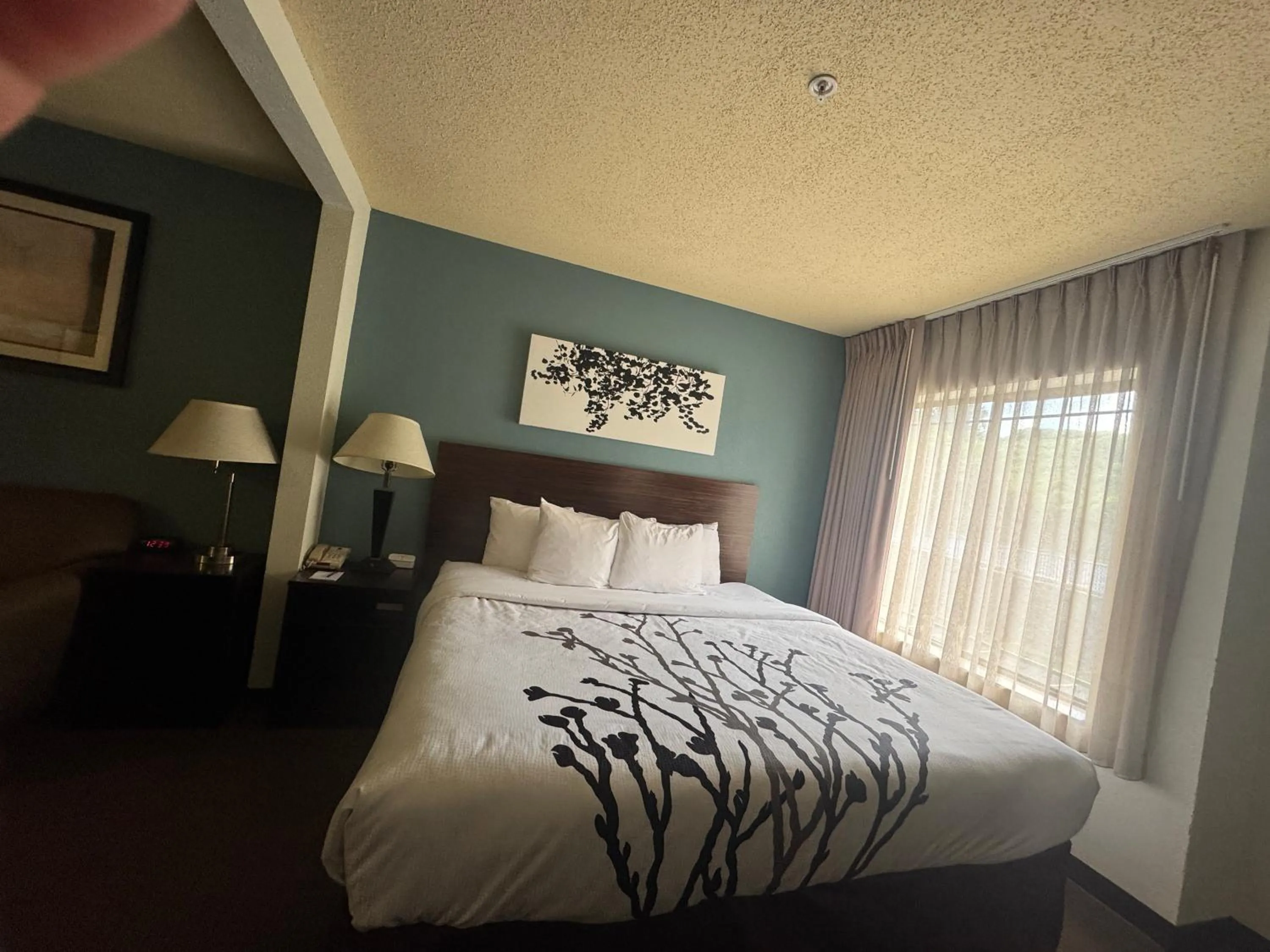 Bed in Sleep Inn & Suites Hattiesburg North