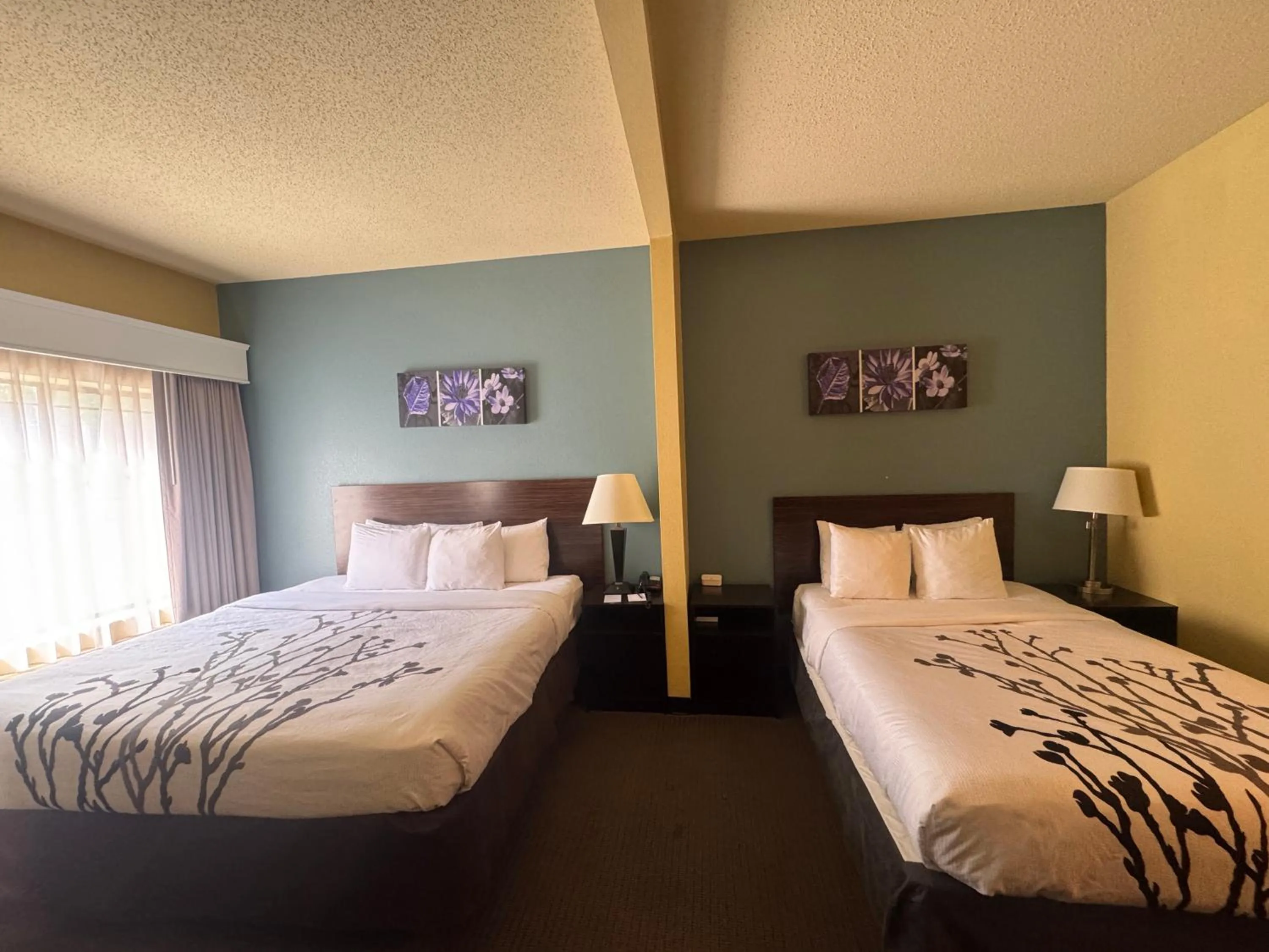 Bed in Sleep Inn & Suites Hattiesburg North