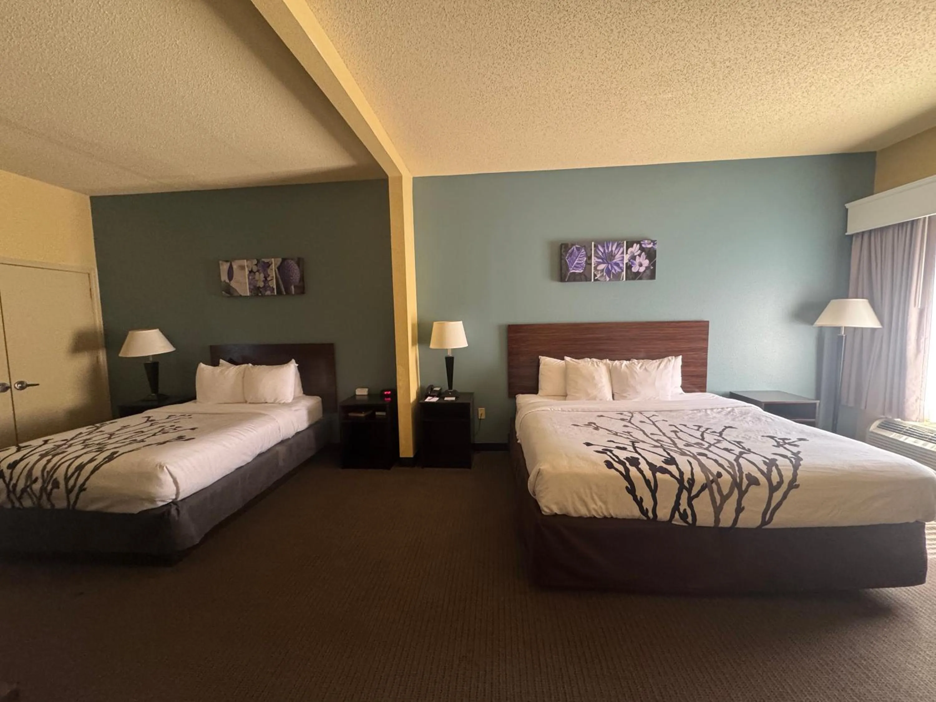 Bed in Sleep Inn & Suites Hattiesburg North