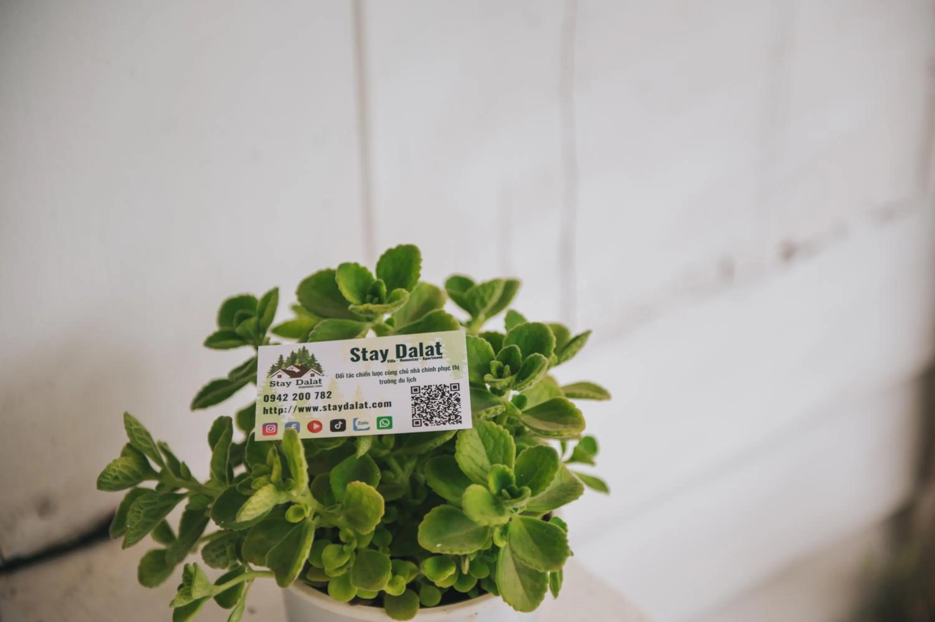 Garden in Ngàn Phố Studio & Love Hotel