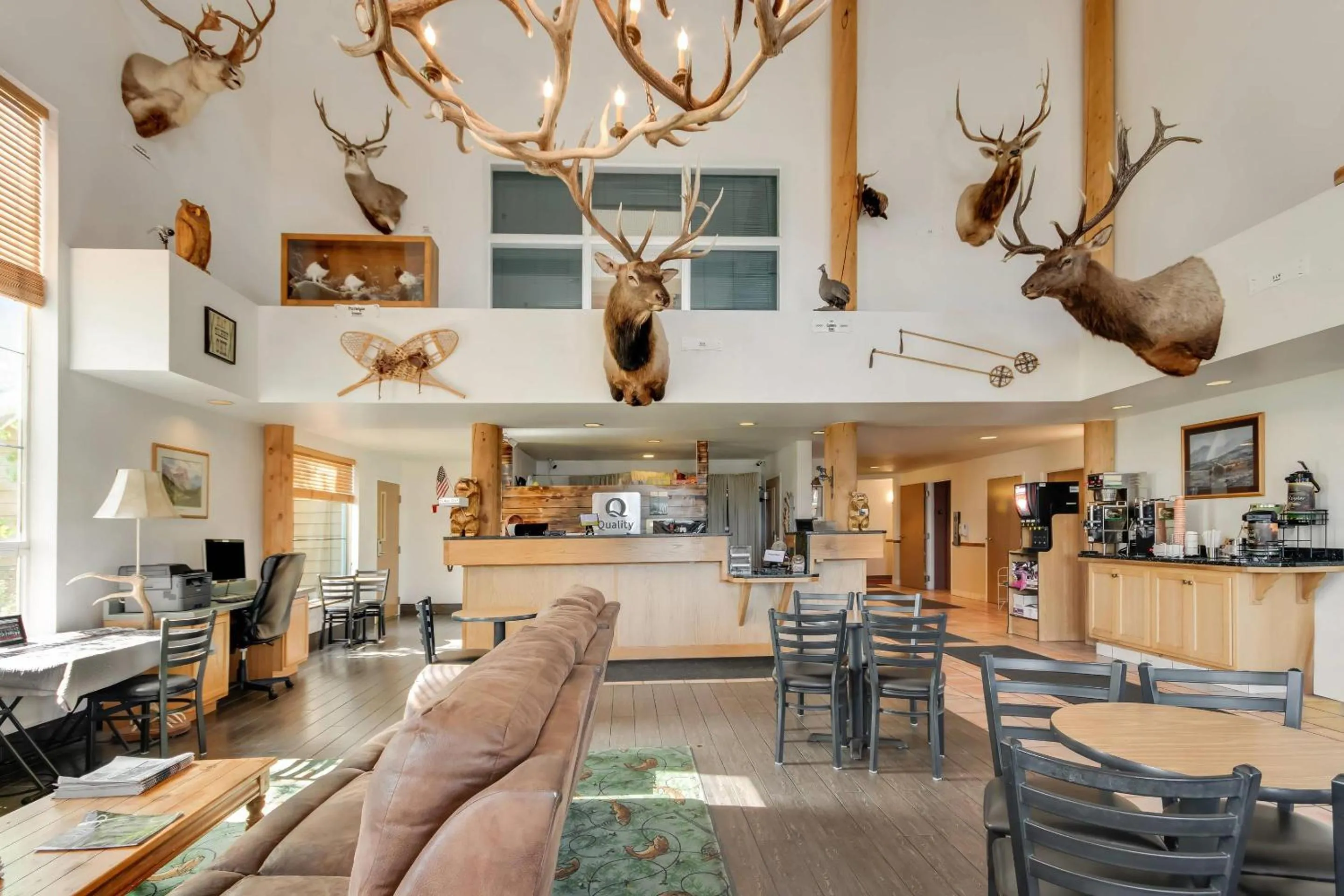 Lobby or reception in Quality Inn Belgrade - Bozeman Yellowstone Airport