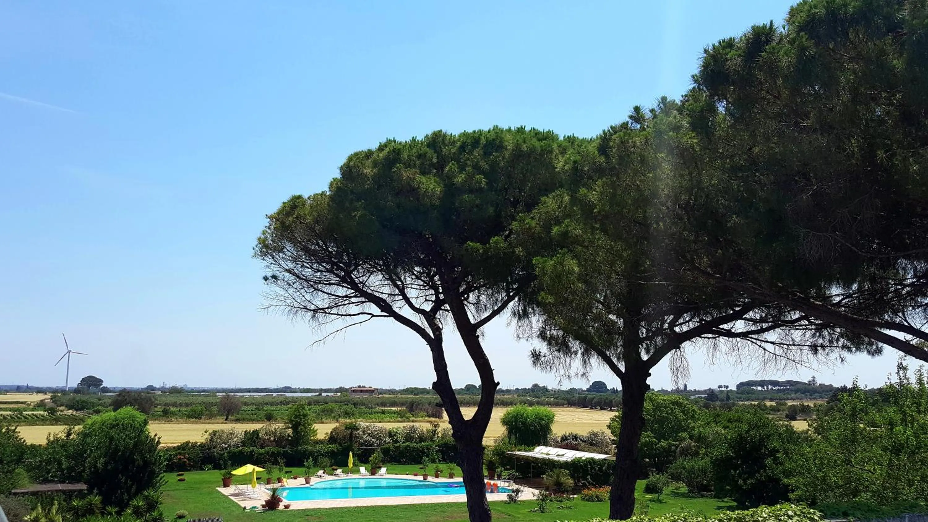 Pool view in Tenuta DonnAnna Agriturismo&Glamping