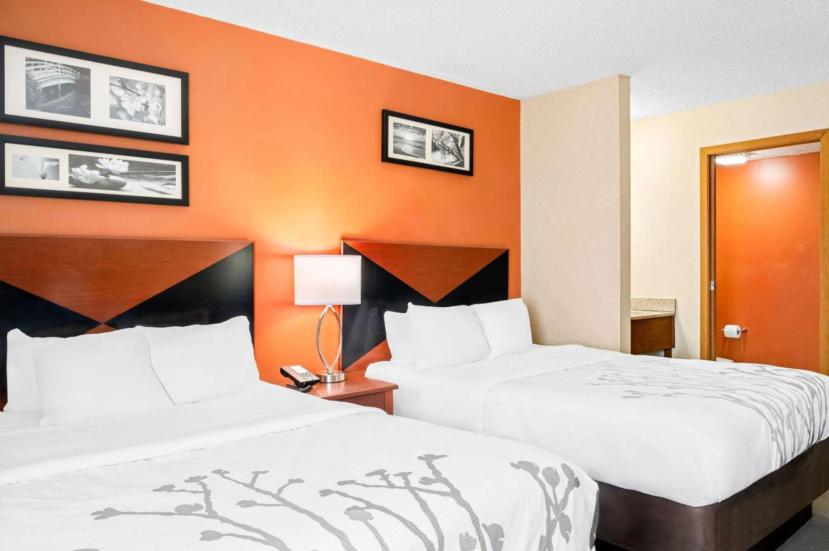 Bedroom, Bed in Sleep Inn Billings