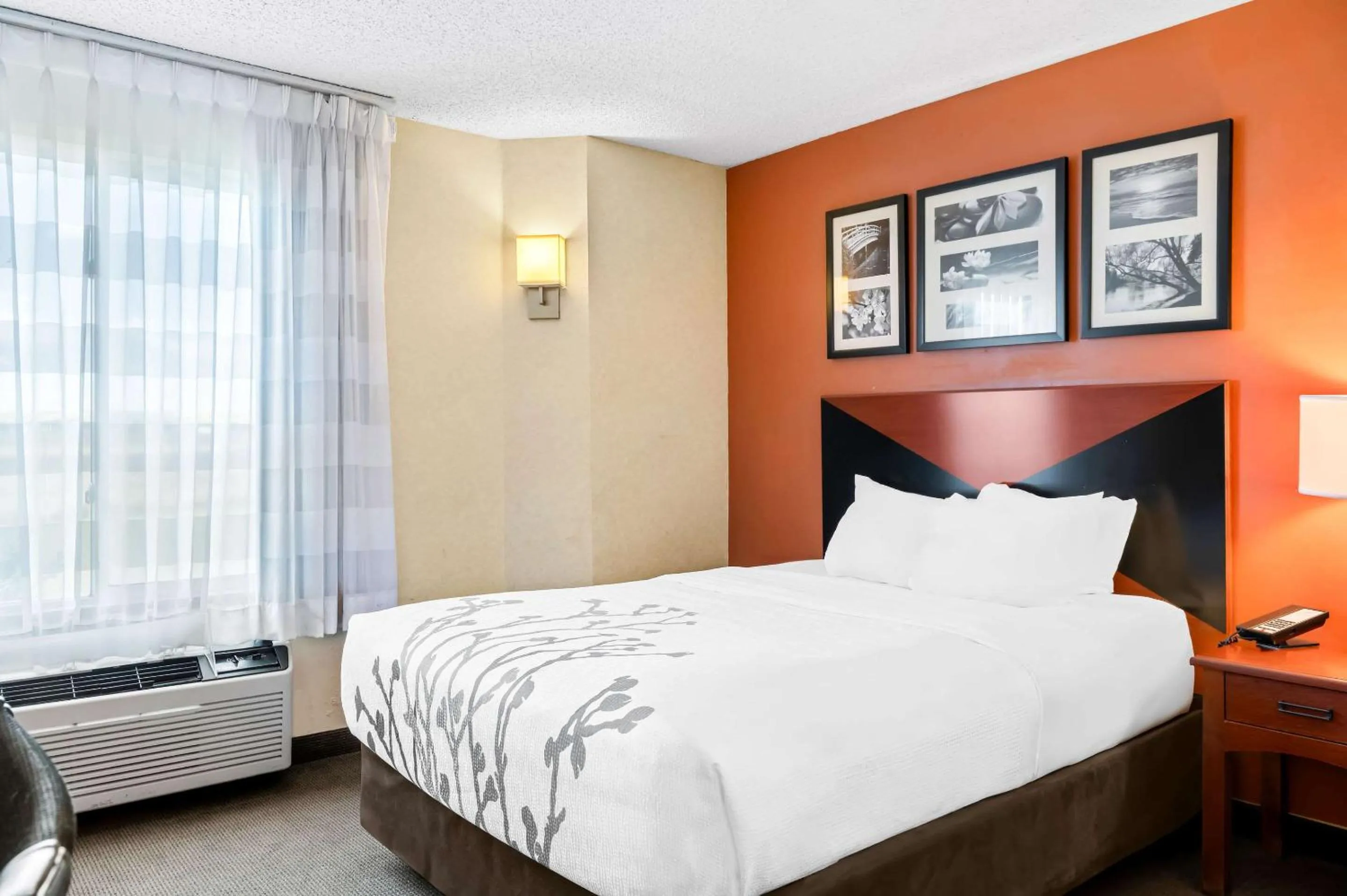 Bedroom, Bed in Sleep Inn Billings