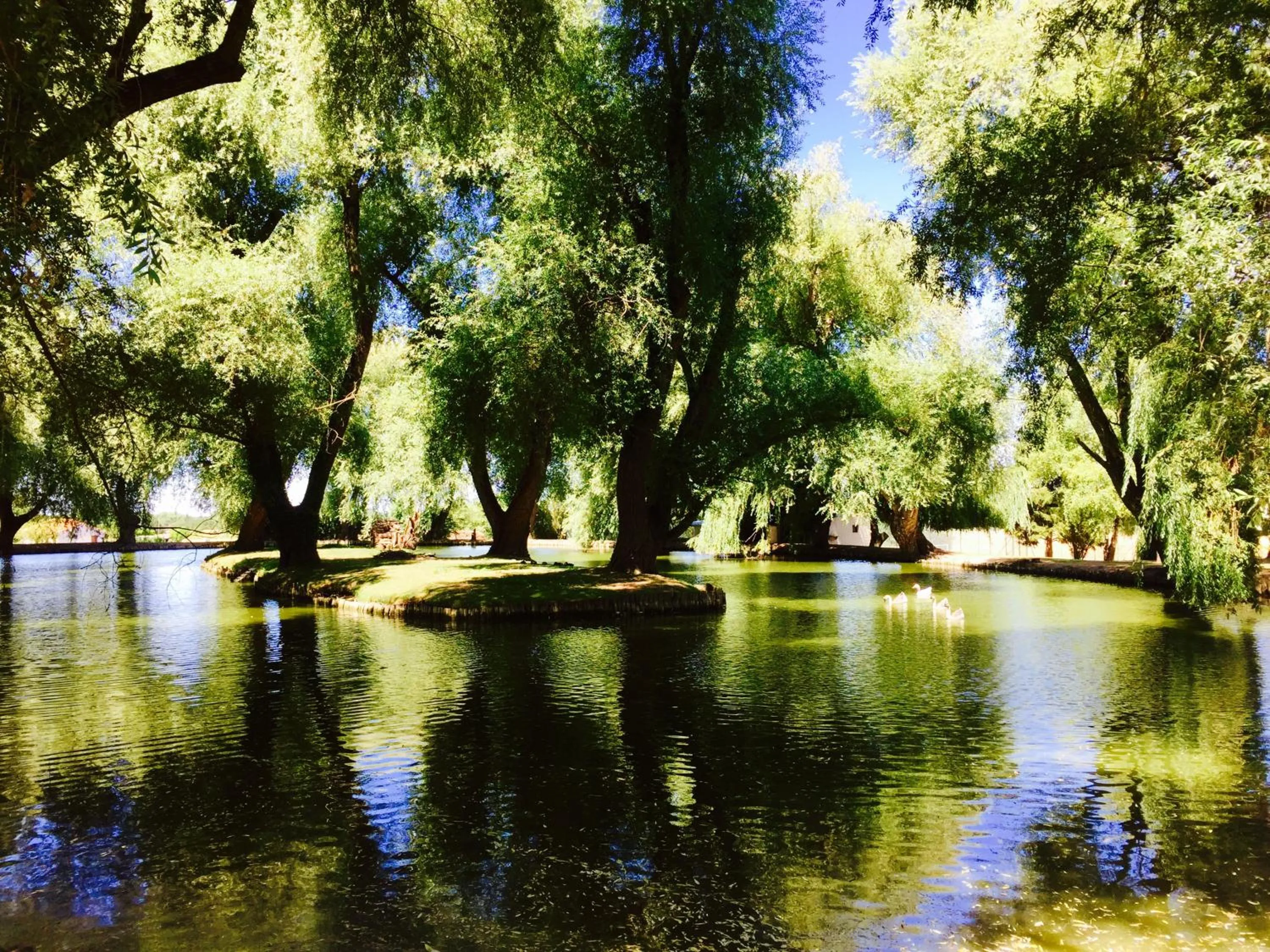 Lake view in Domaine de Roullet