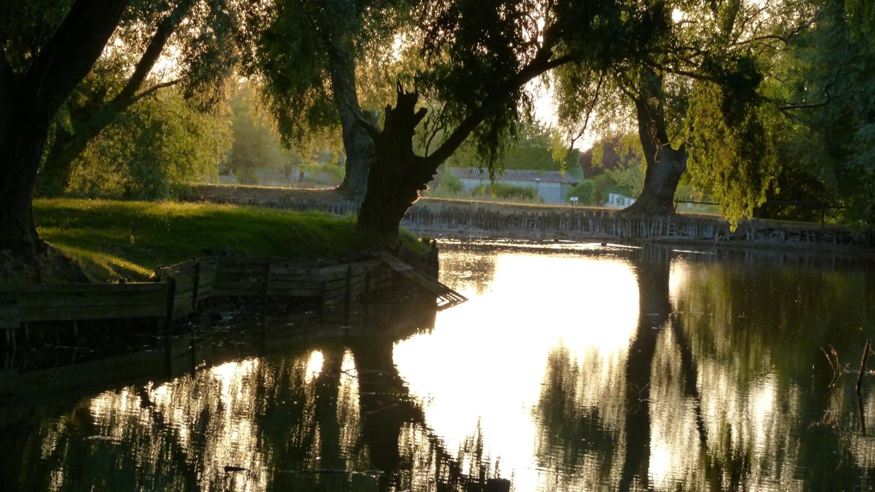 Day in Domaine de Roullet