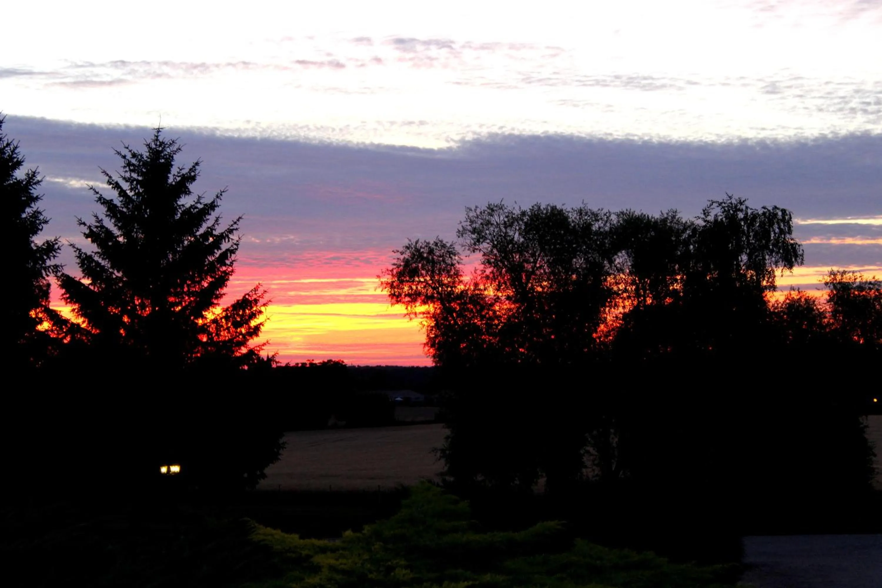 Garden in Domaine de Roullet