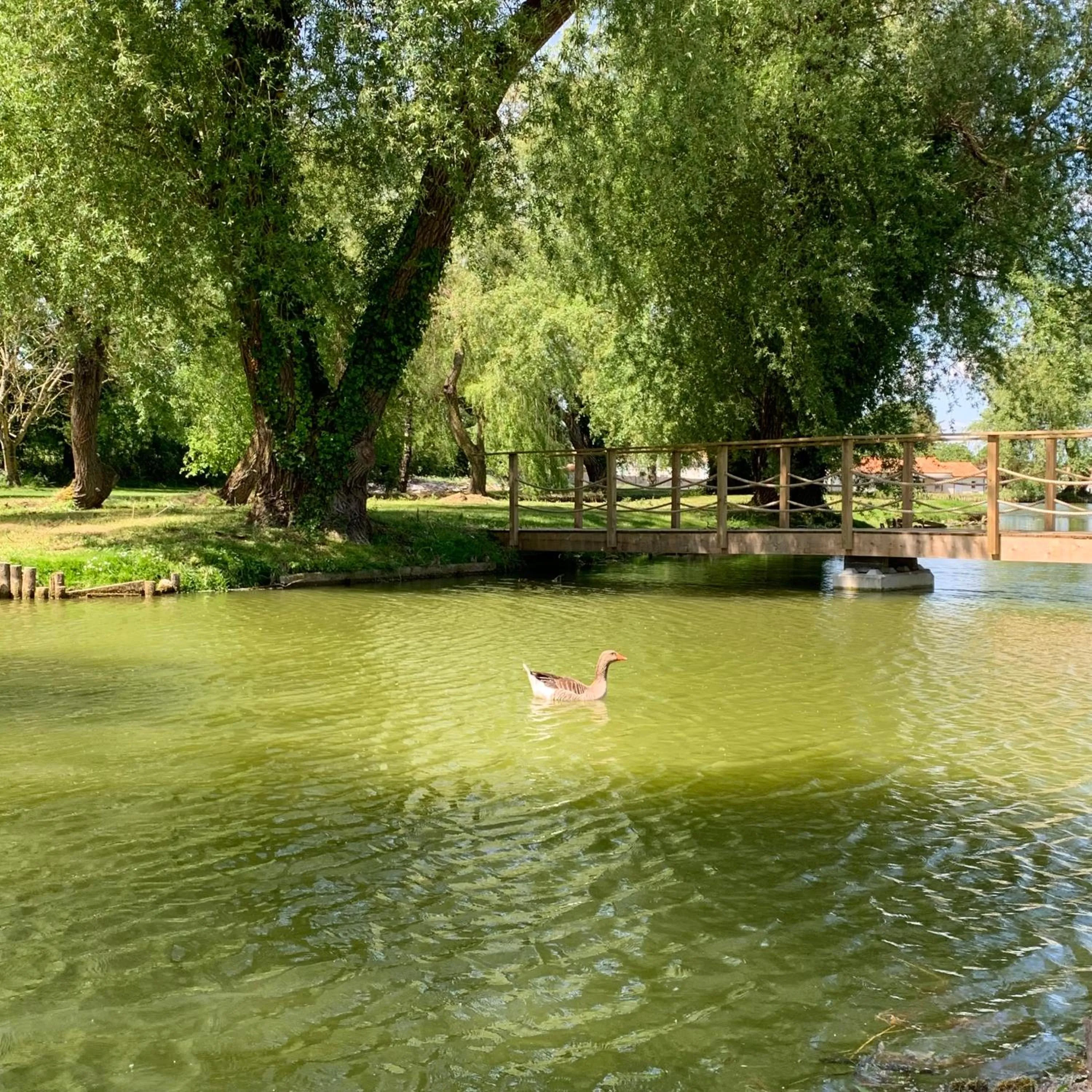 Lake view in Domaine de Roullet