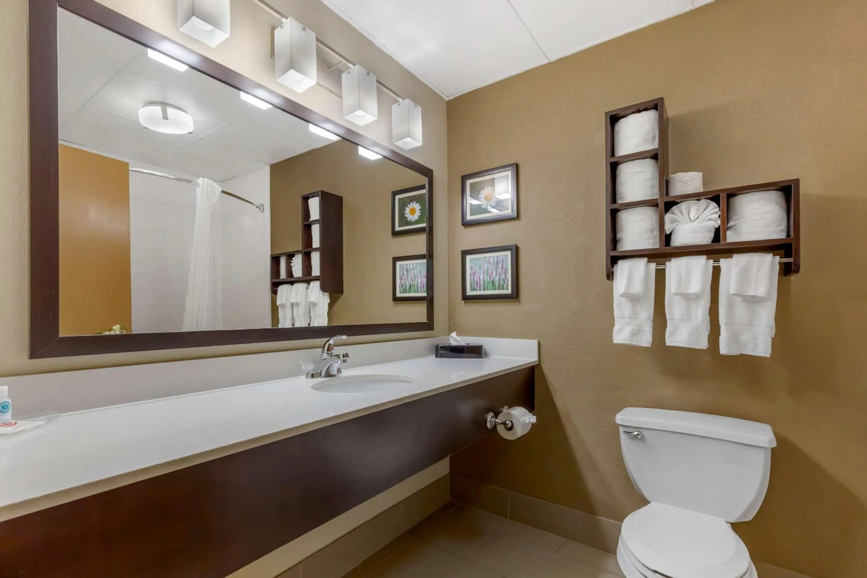 Bedroom in Comfort Suites Regency Park