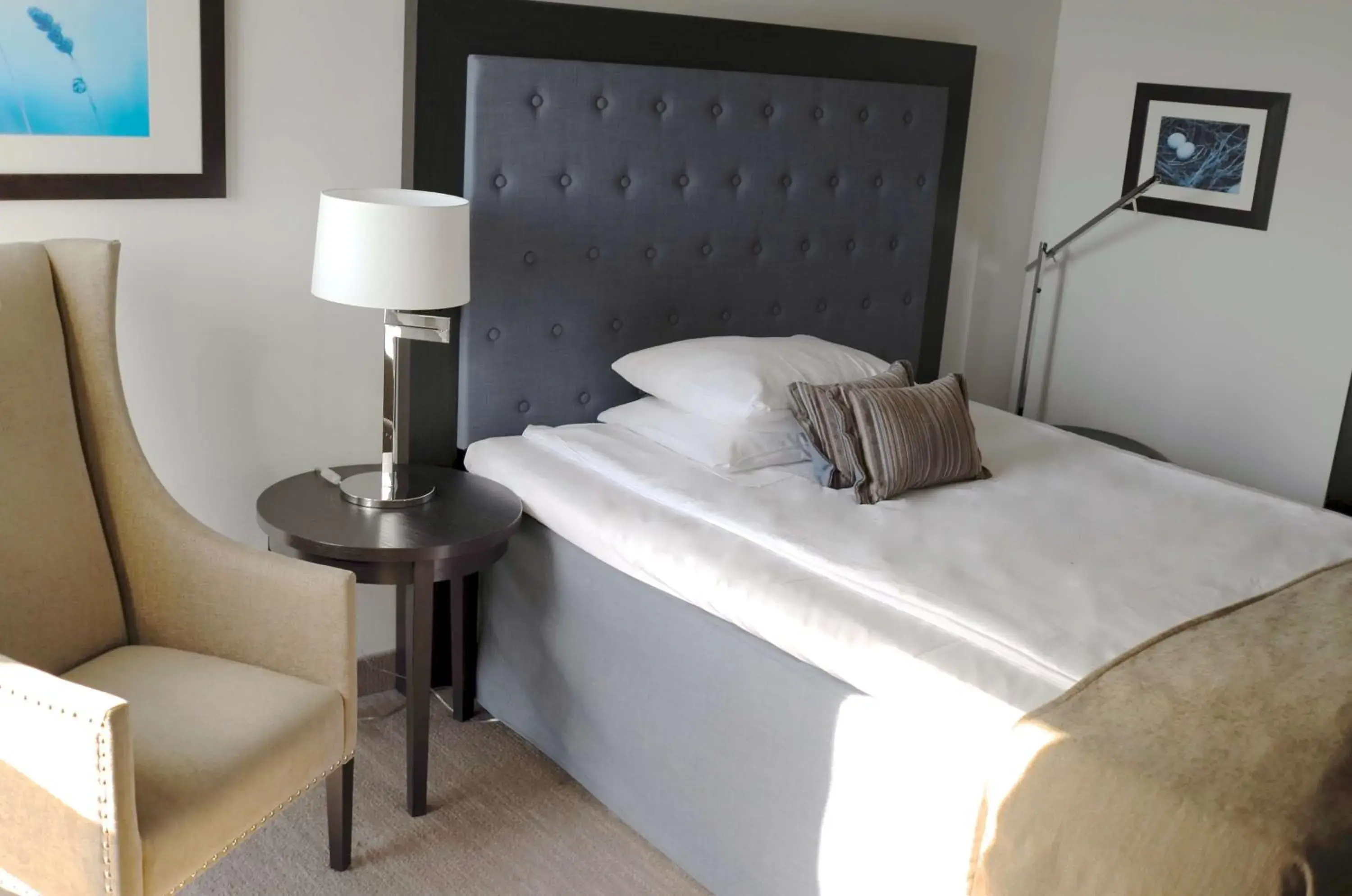 Single Room in Scandic Nidelven Single Room in Scandic Nidelven