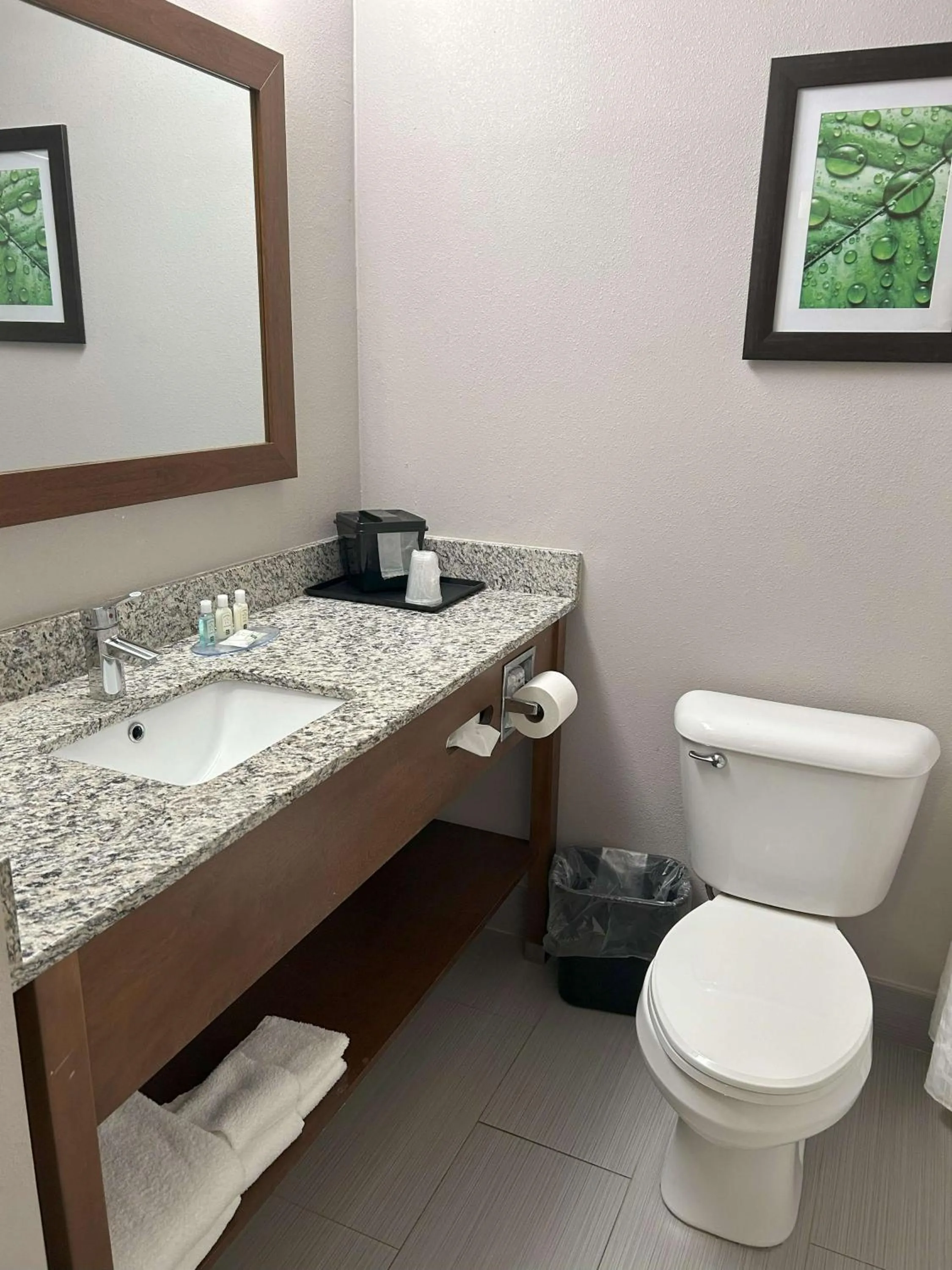 Bedroom in Quality Inn & Suites Tarboro - Kingsboro