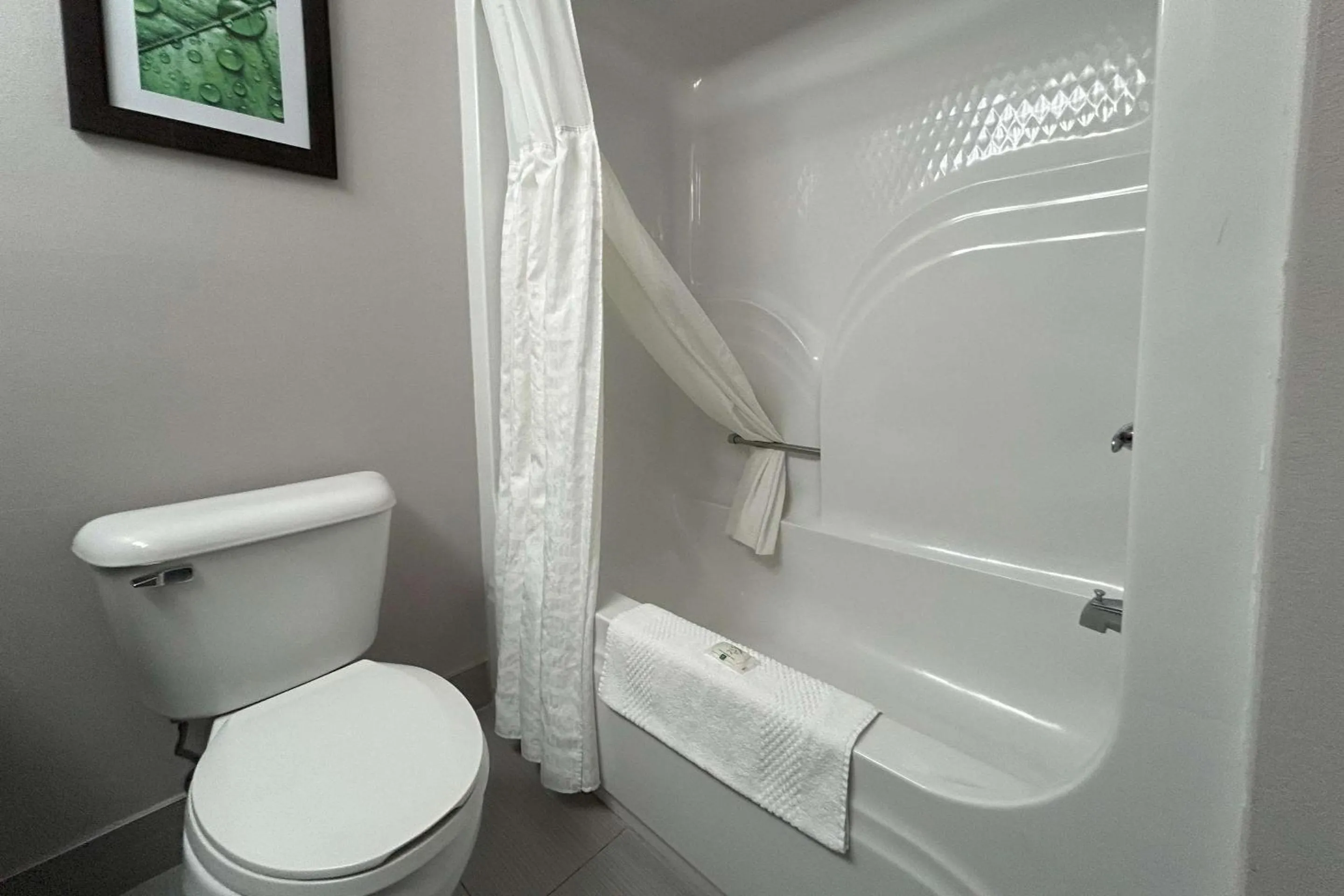 Bedroom in Quality Inn & Suites Tarboro - Kingsboro