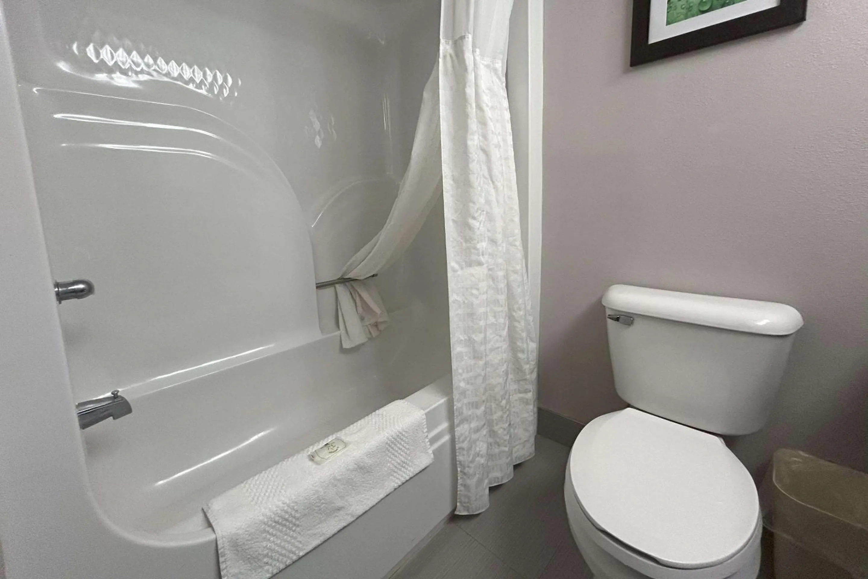 Bedroom in Quality Inn & Suites Tarboro - Kingsboro