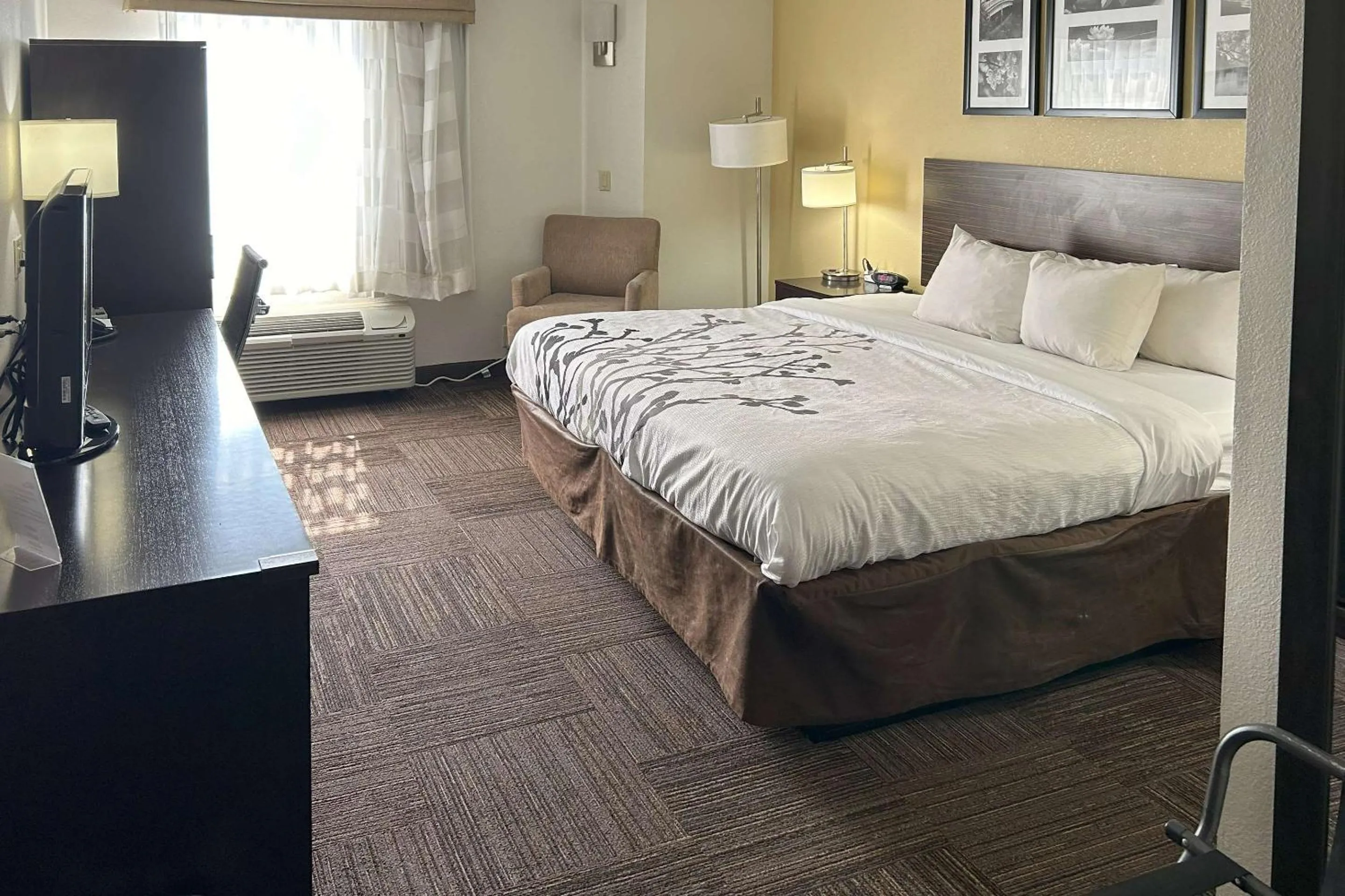 Bedroom, Bed in Sleep Inn Wilson near I-95