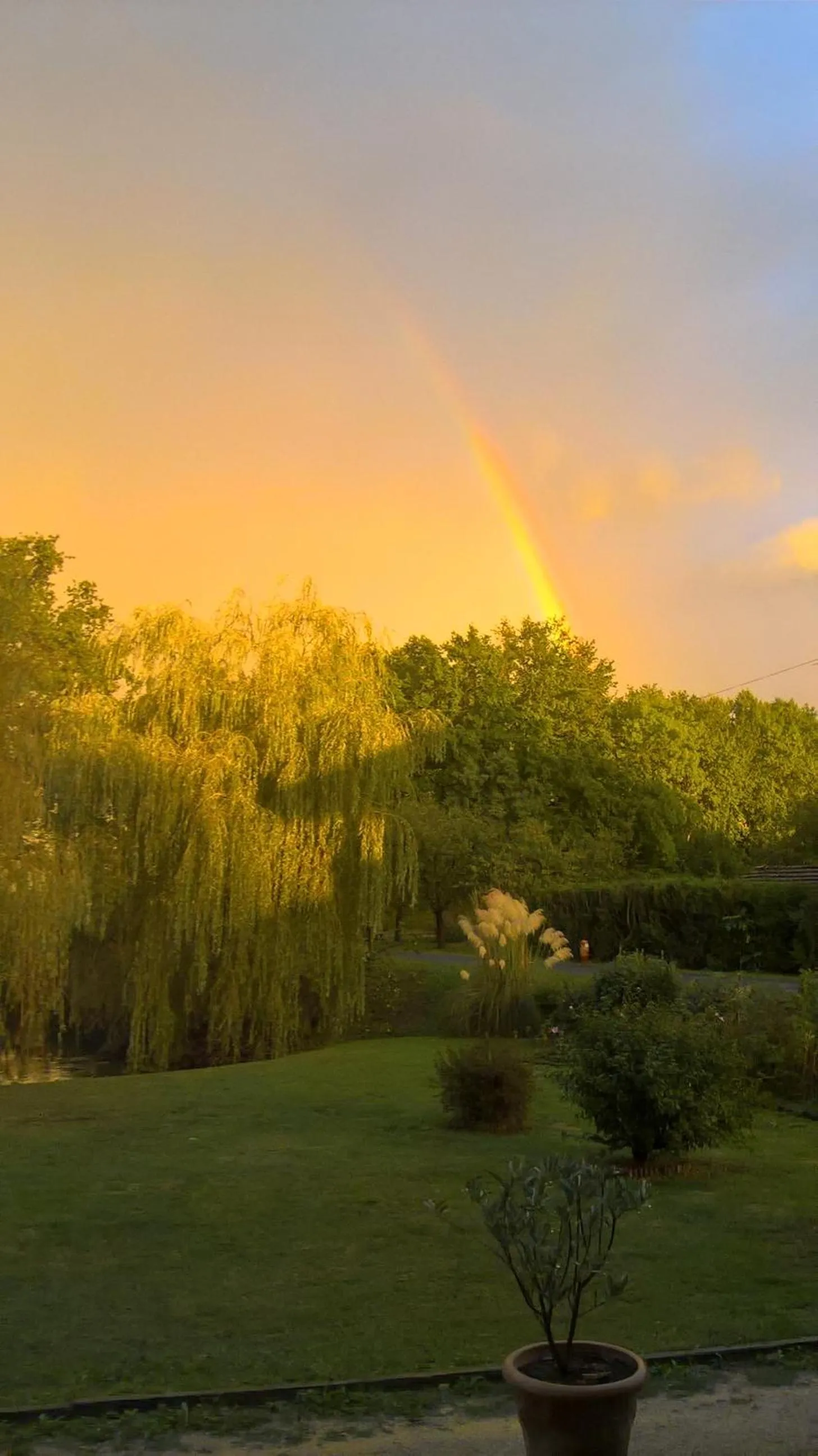Garden in Chambre d'Hôtes Familiale la Jument Grise