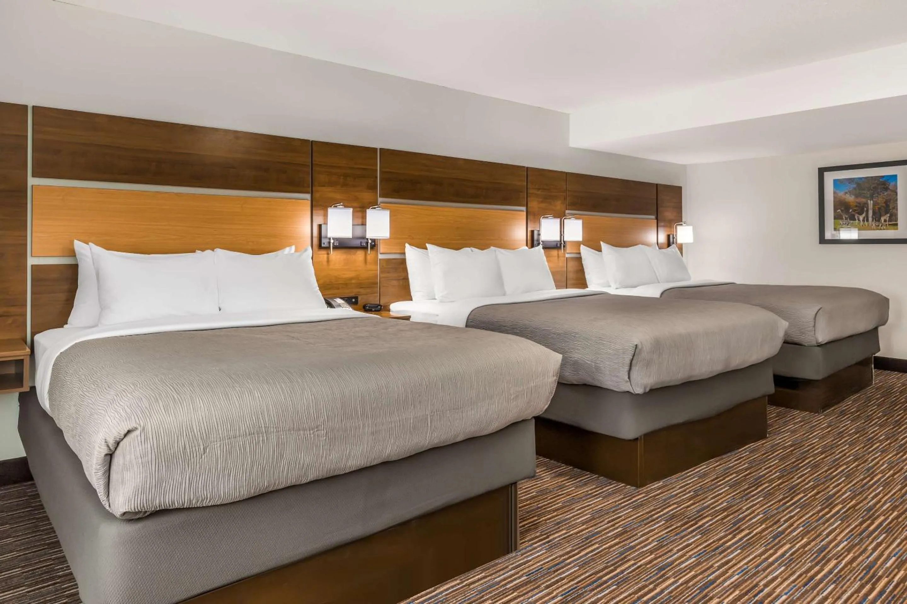 Bedroom, Bed in Quality Inn Asheboro South