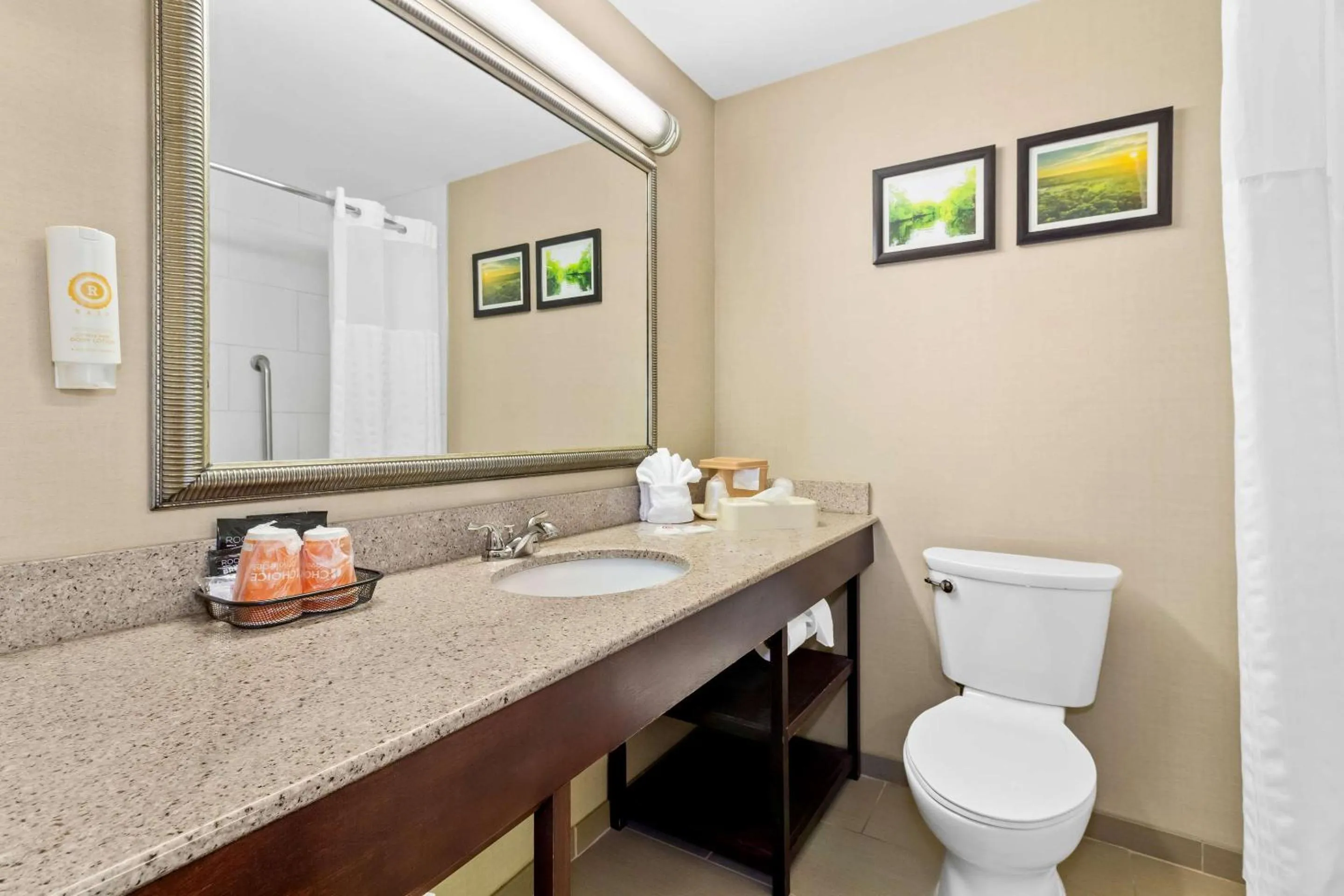 Bedroom in Comfort Suites Lumberton North