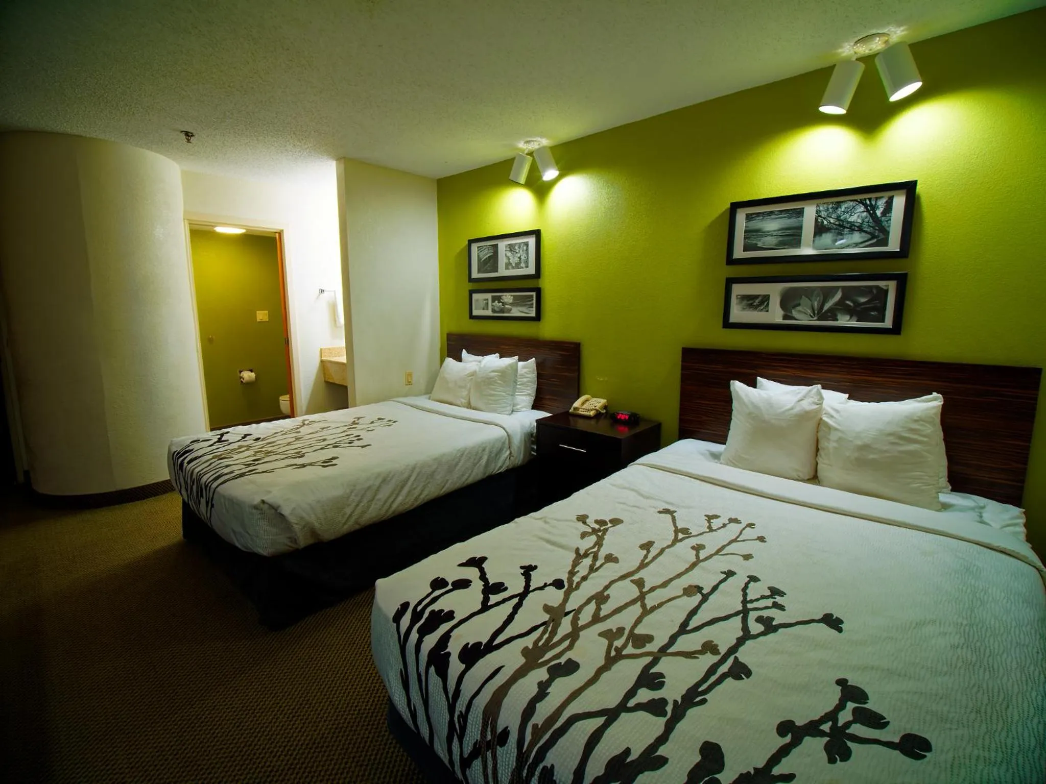 Photo of the whole room, Bed in Sleep Inn Morganton Southeast