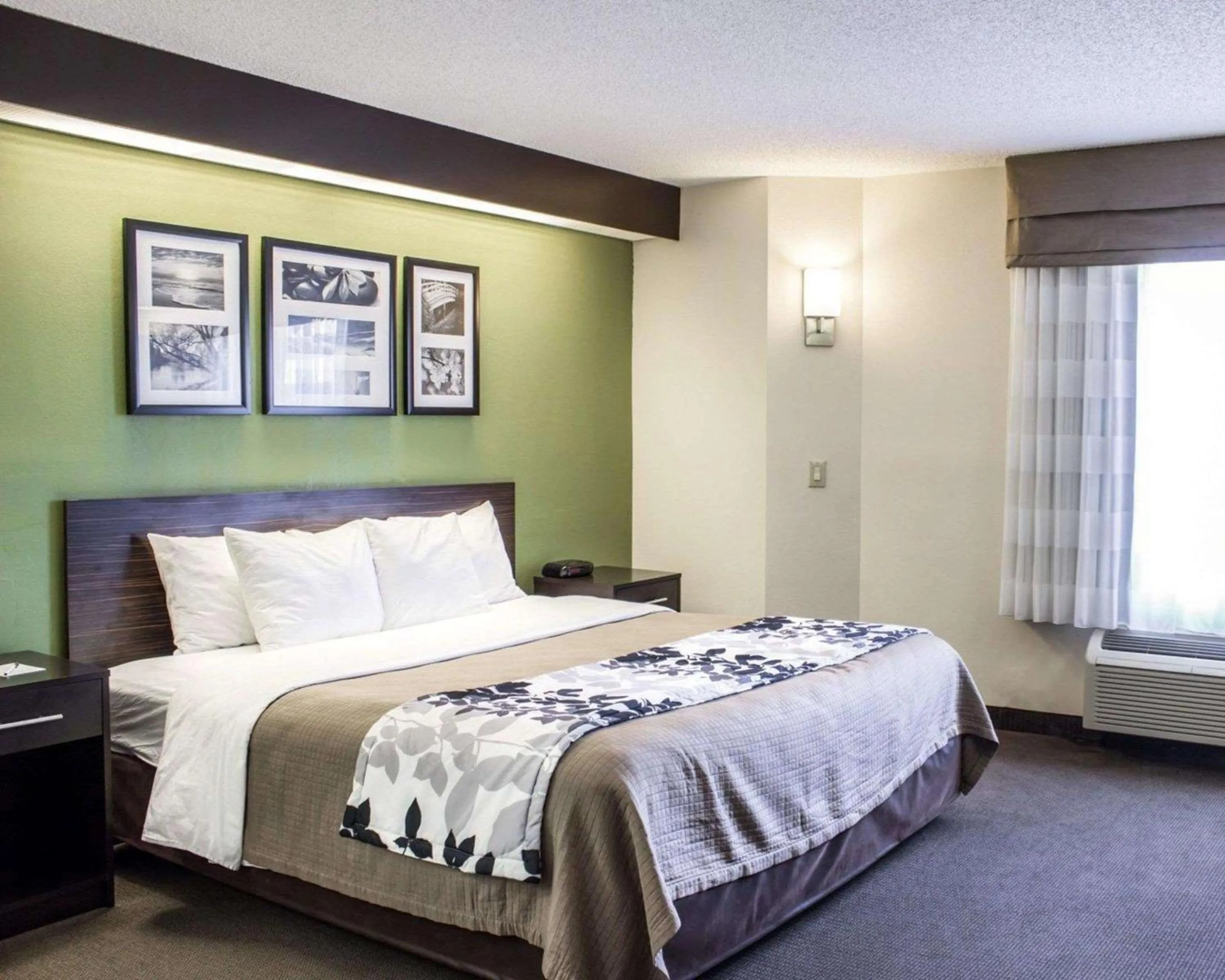 Photo of the whole room, Bed in Sleep Inn Garner - Clayton