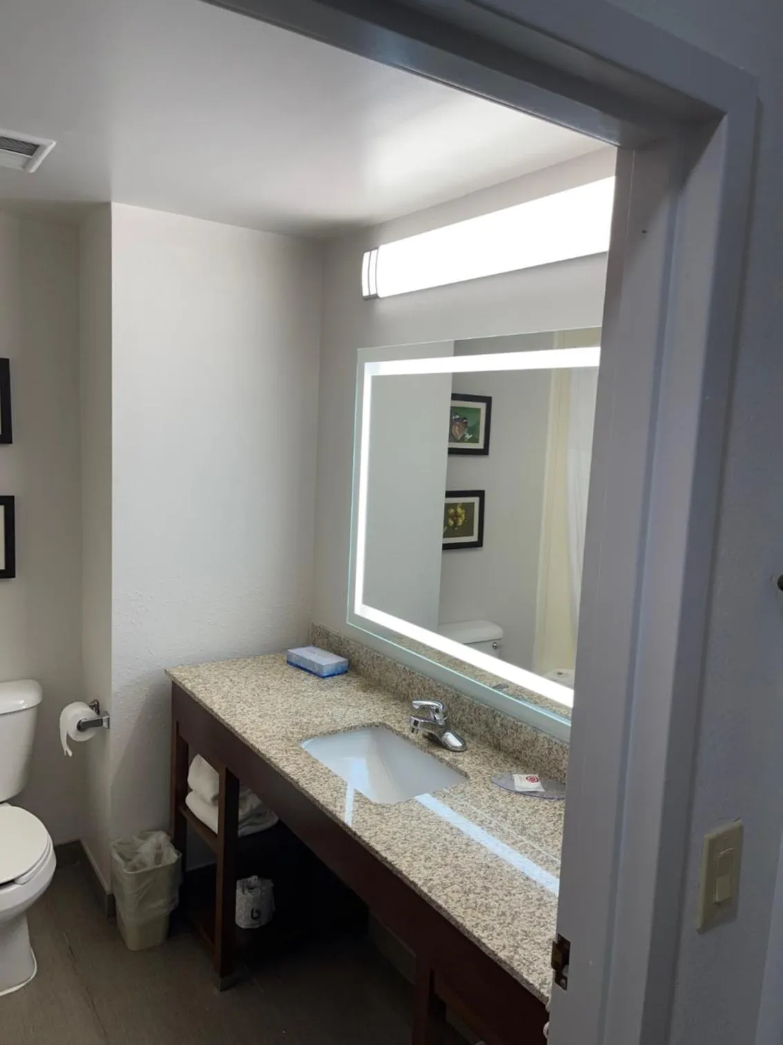 Toilet in Comfort Suites Salisbury I-85