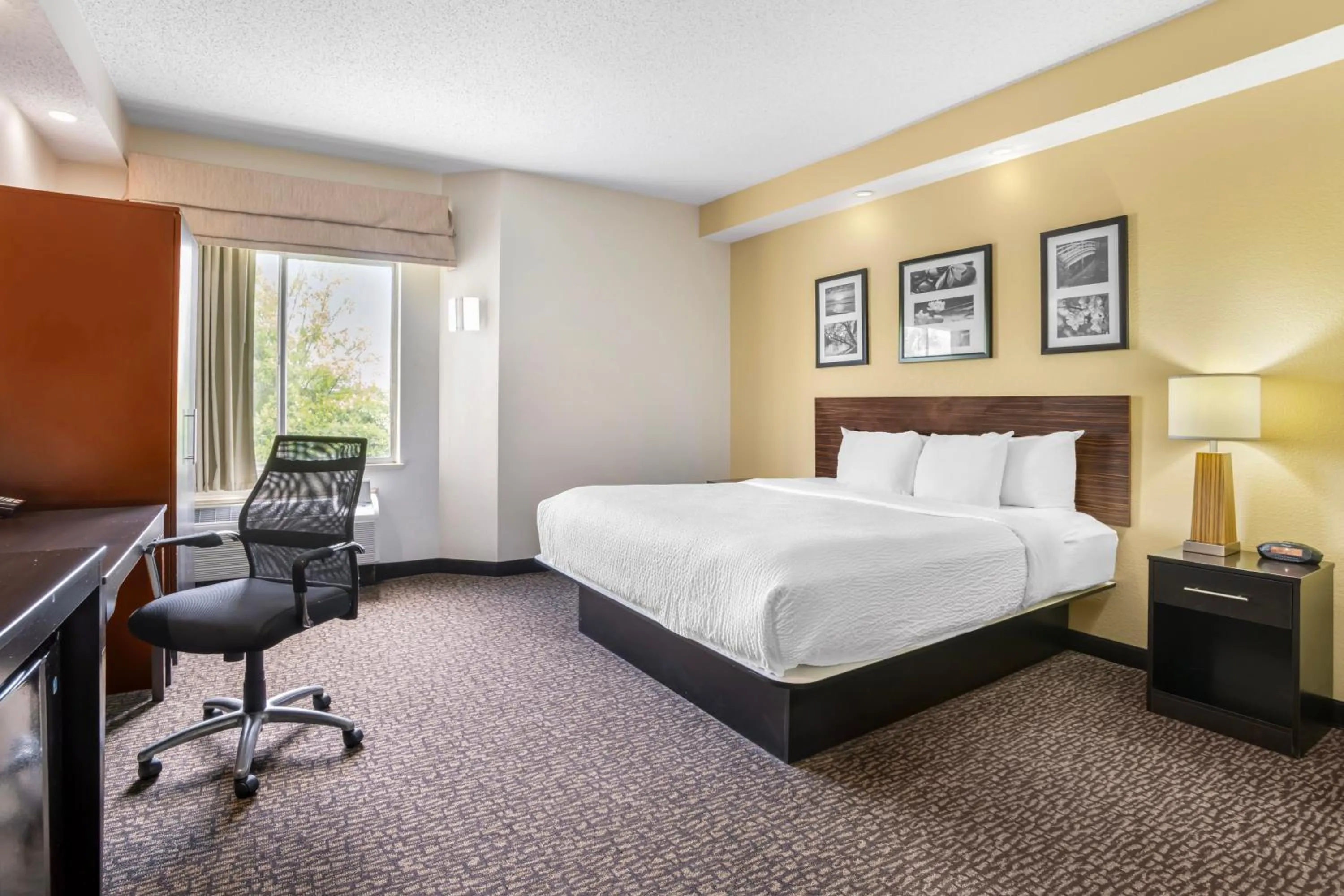 Bedroom, Bed in Sleep Inn & Suites at Concord Mills