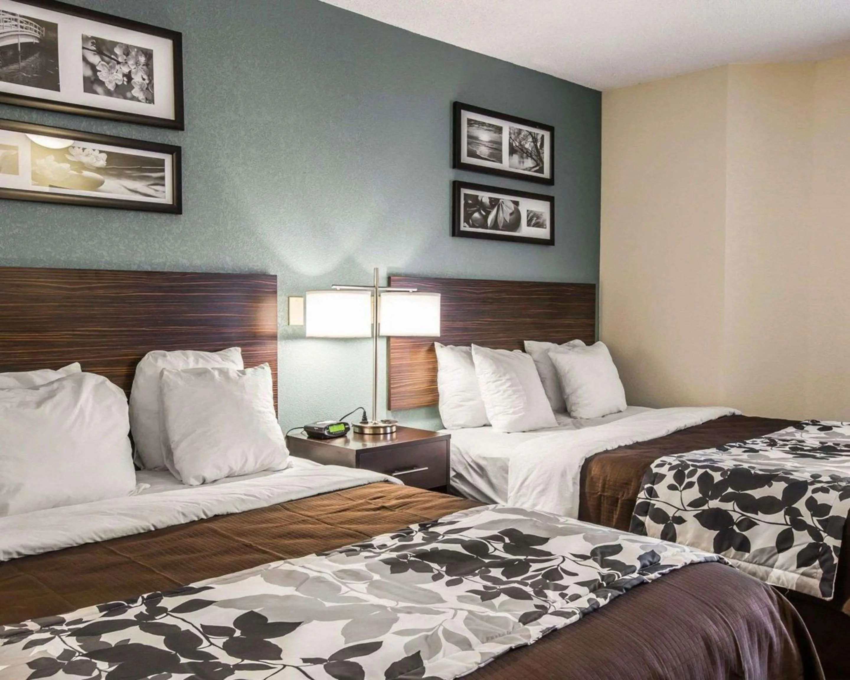 Bedroom, Bed in Sleep Inn Greensboro Airport