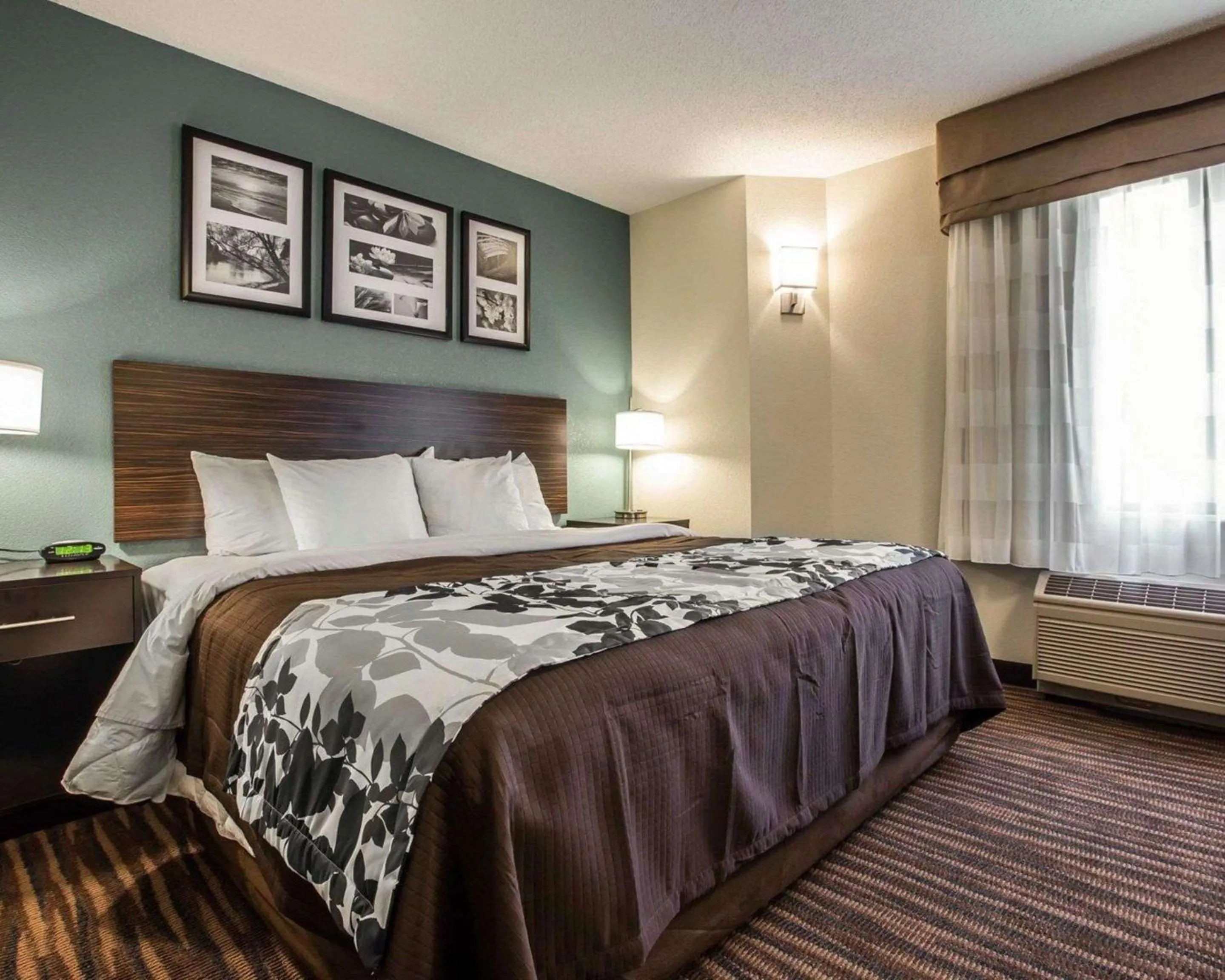 Other, Bed in Sleep Inn Greensboro Airport