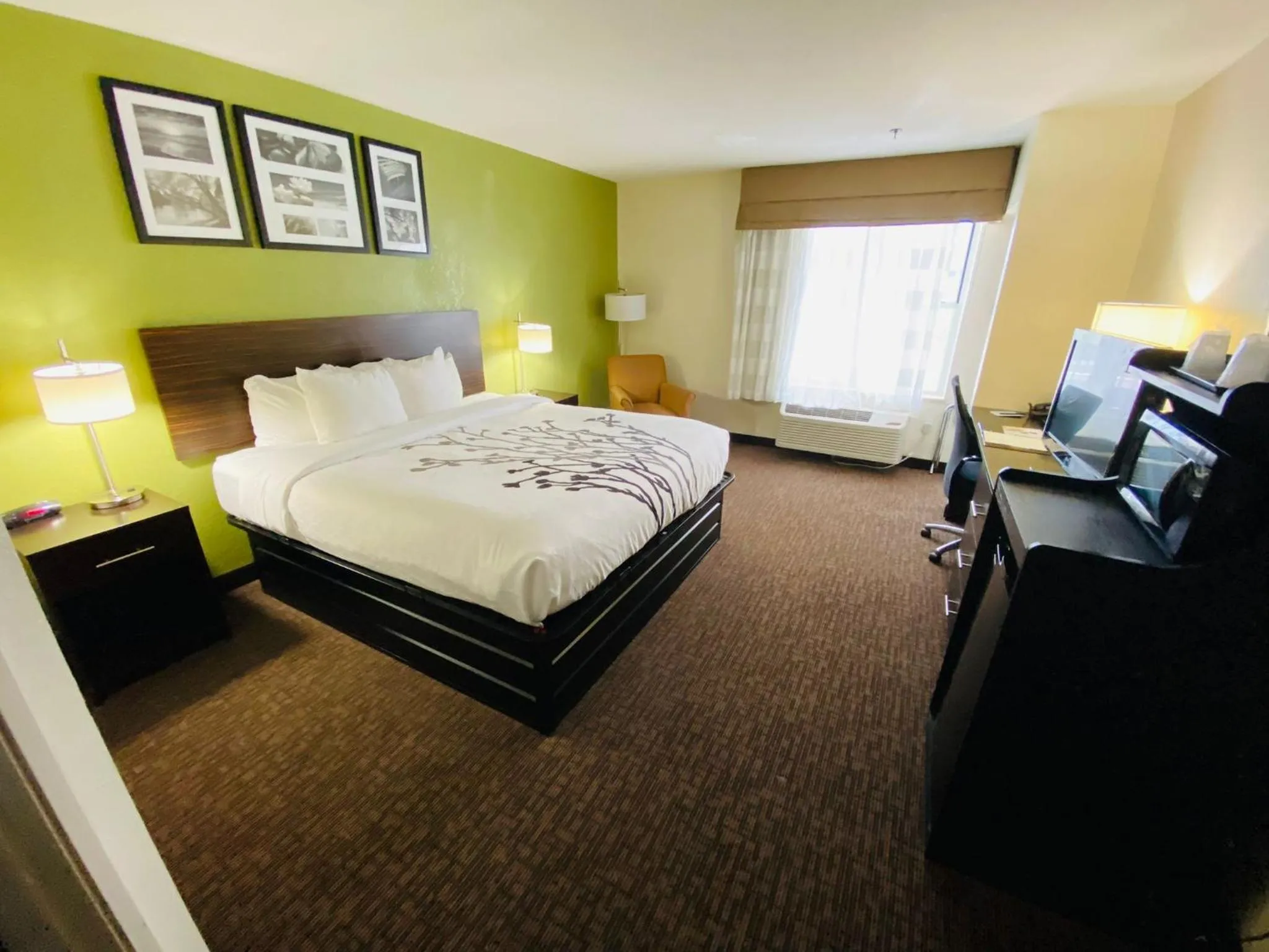 Photo of the whole room, Bed in Sleep Inn & Suites Jacksonville near Camp Lejeune