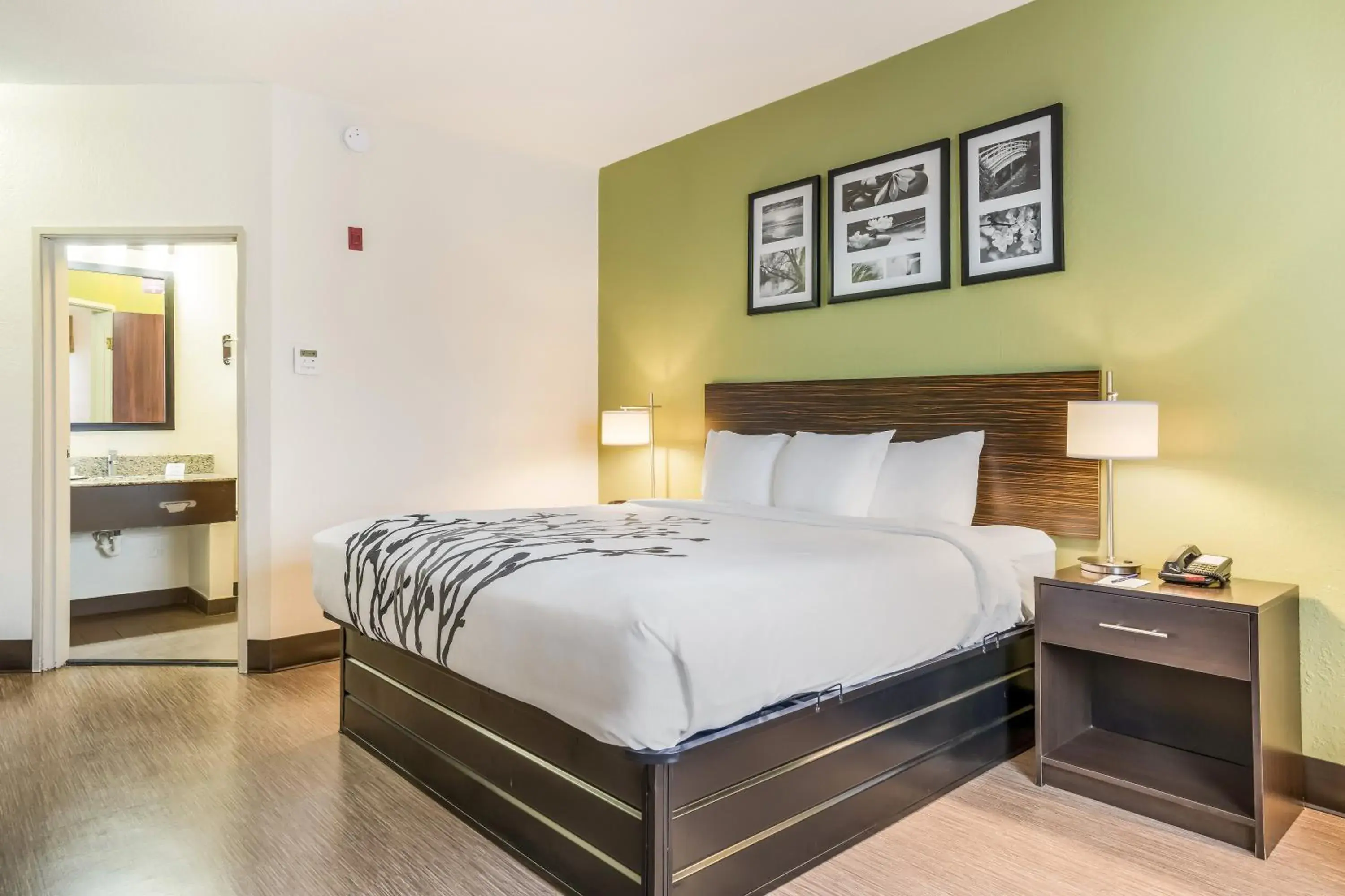 King Room - Non-Smoking in Sleep Inn & Suites Jacksonville near Camp Lejeune King Room - Non-Smoking in Sleep Inn & Suites Jacksonville near Camp Lejeune