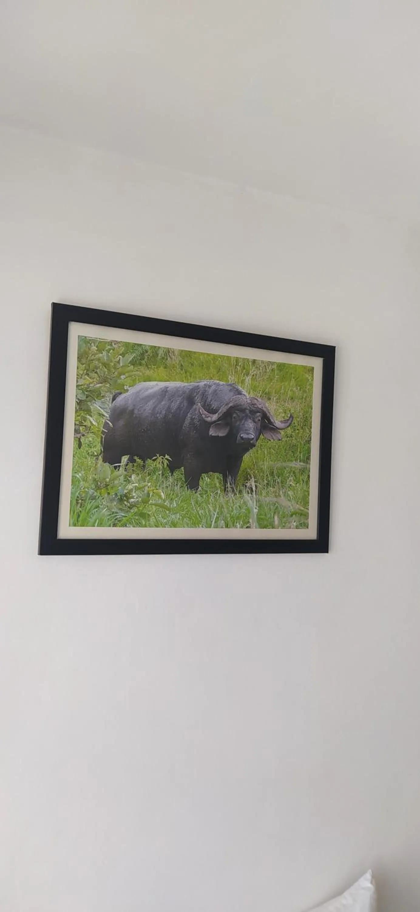 Decorative detail in Plus254 Hotel