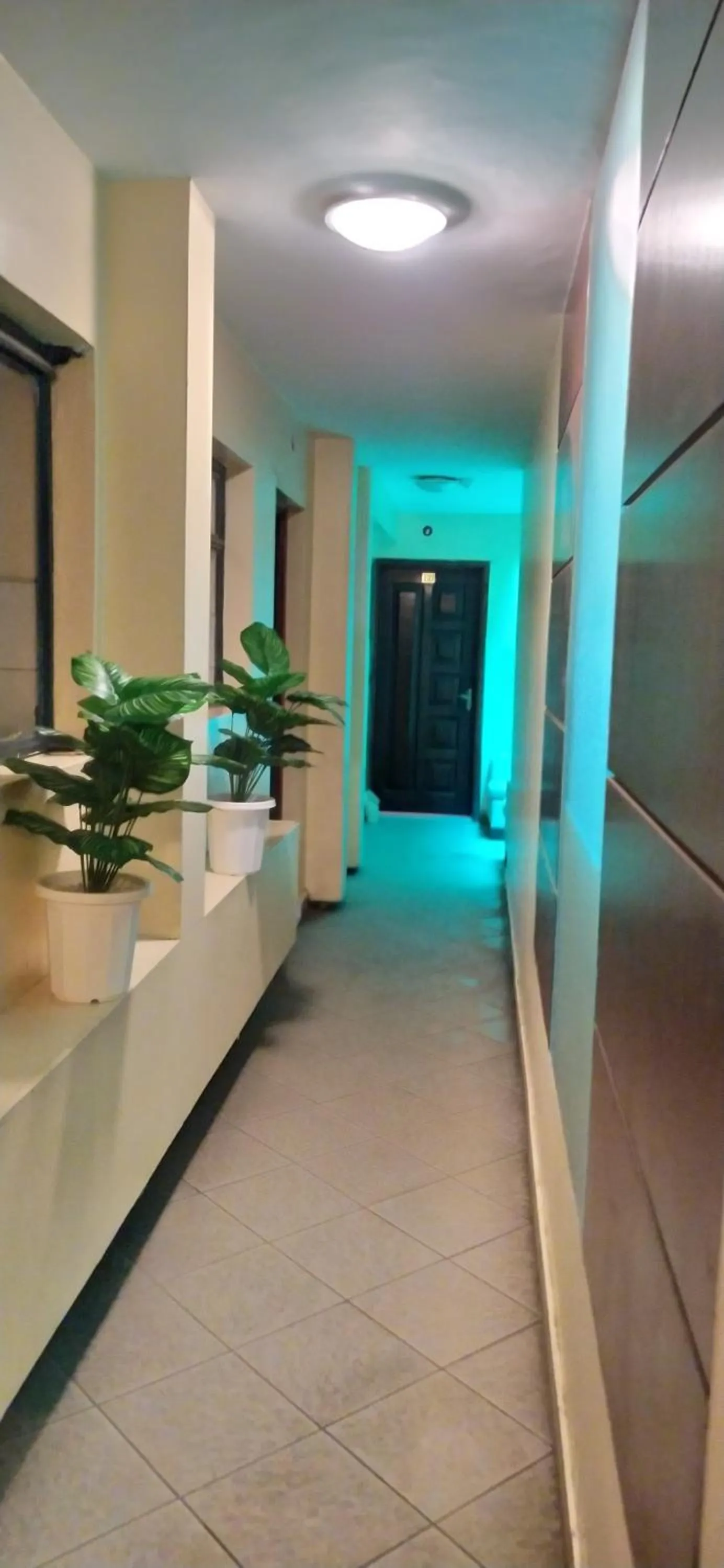 Balcony/Terrace in Plus254 Hotel